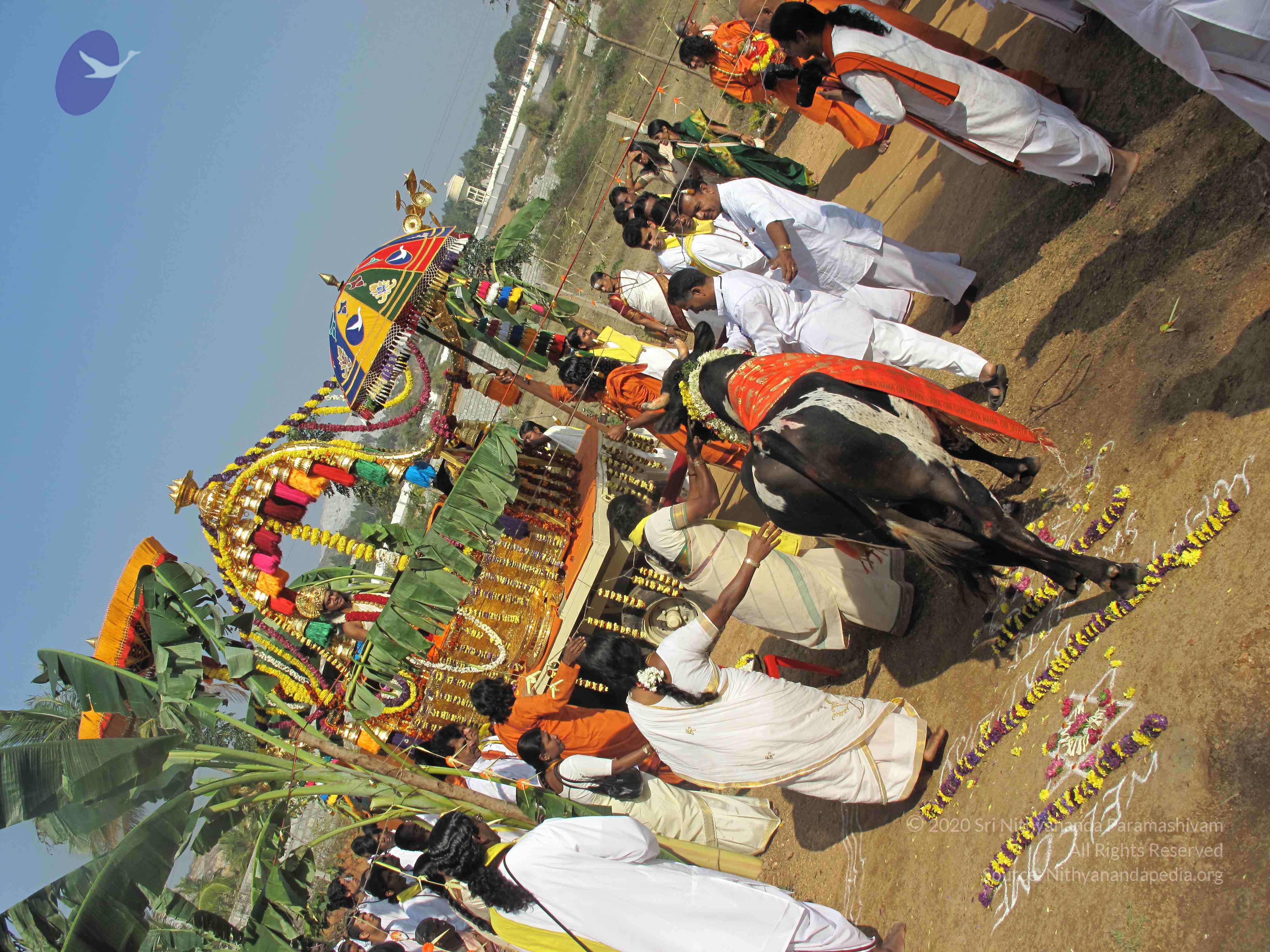 20100101_Photo_1137_IMG_1605_CMP_WM