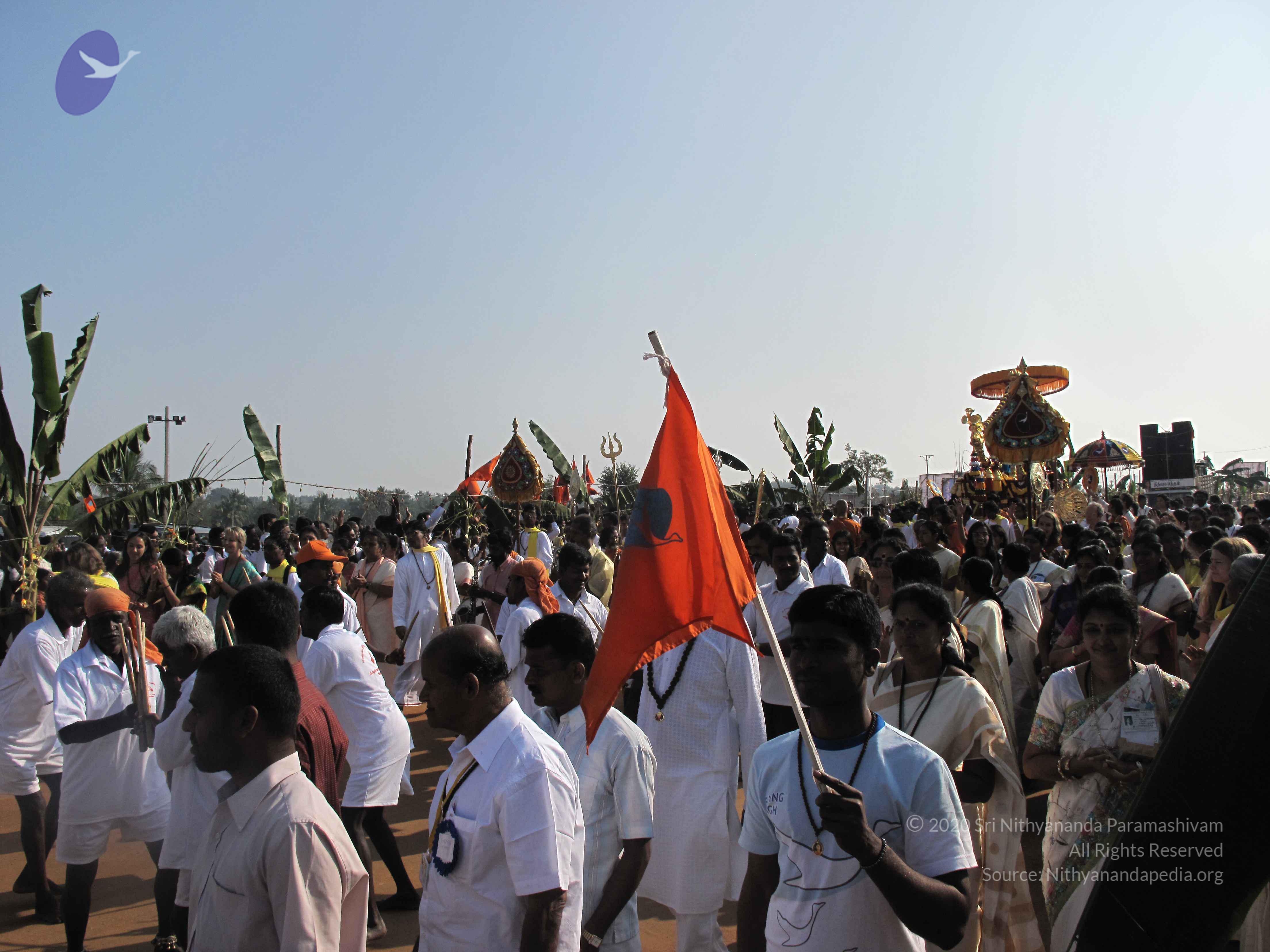 20100101_Photo_1160_IMG_1408_CMP_WM