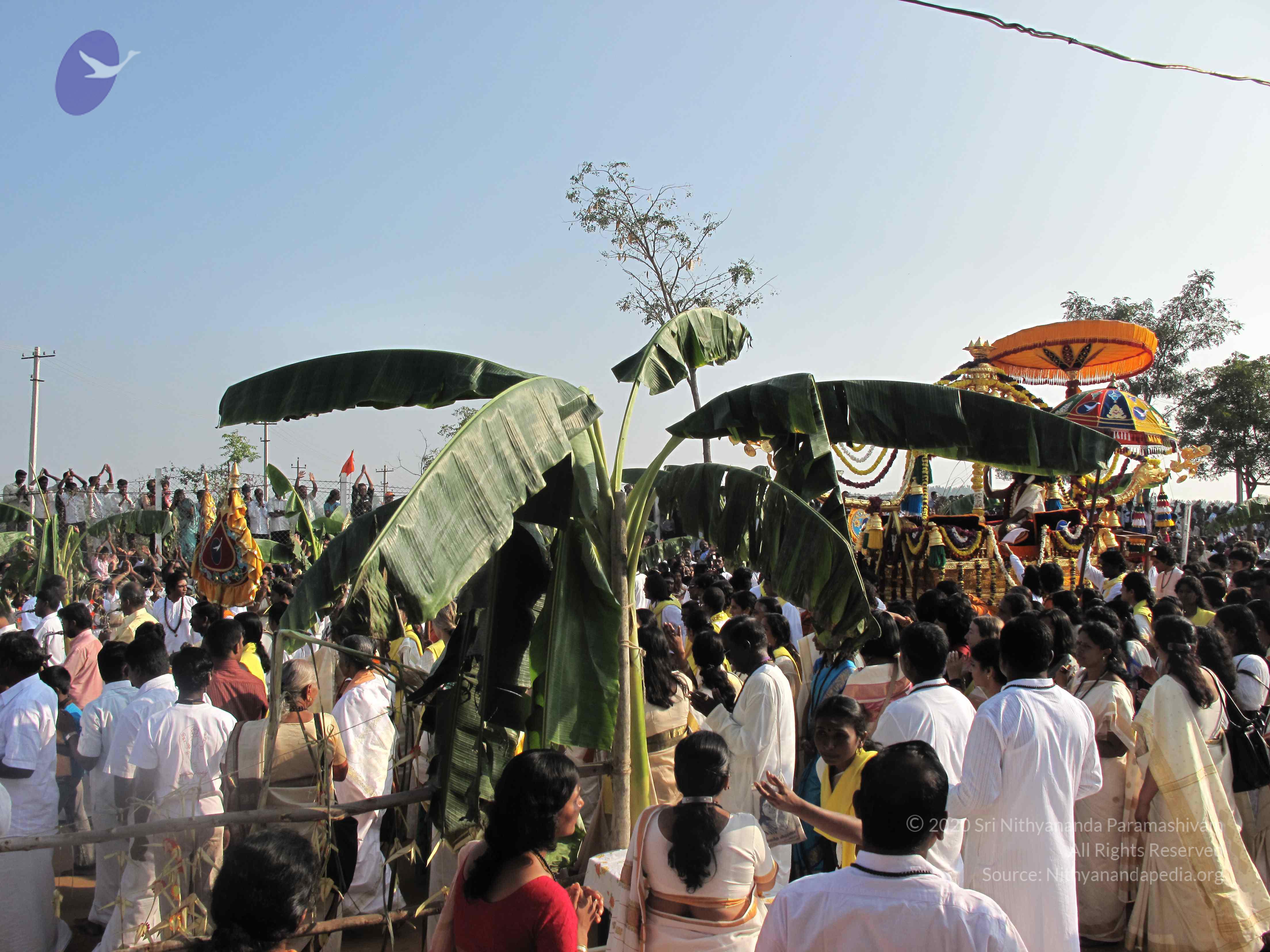 20100101_Photo_1185_IMG_1332_CMP_WM