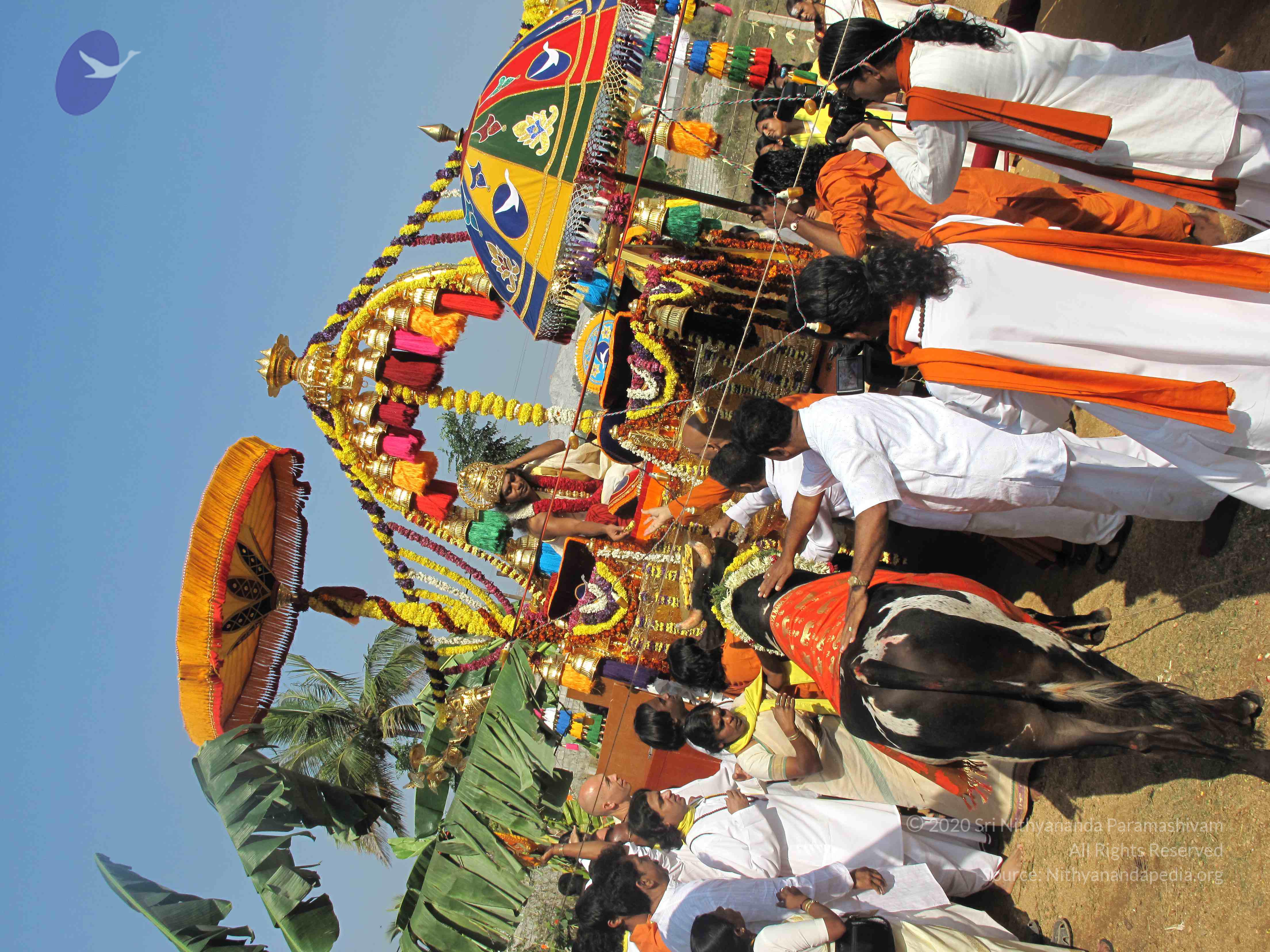 20100101_Photo_1195_IMG_1606_CMP_WM