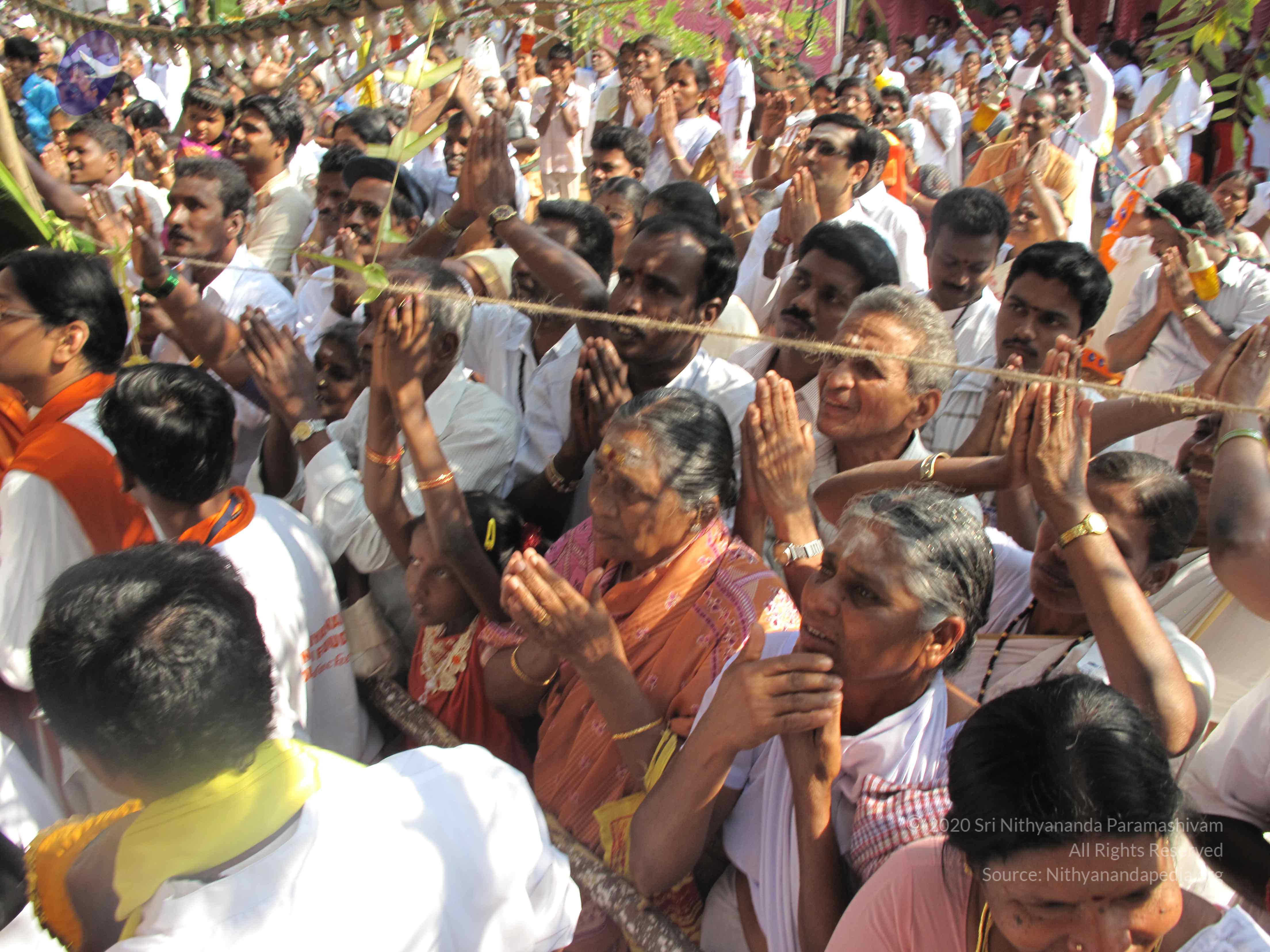 20100101_Photo_1196_IMG_1631_CMP_WM