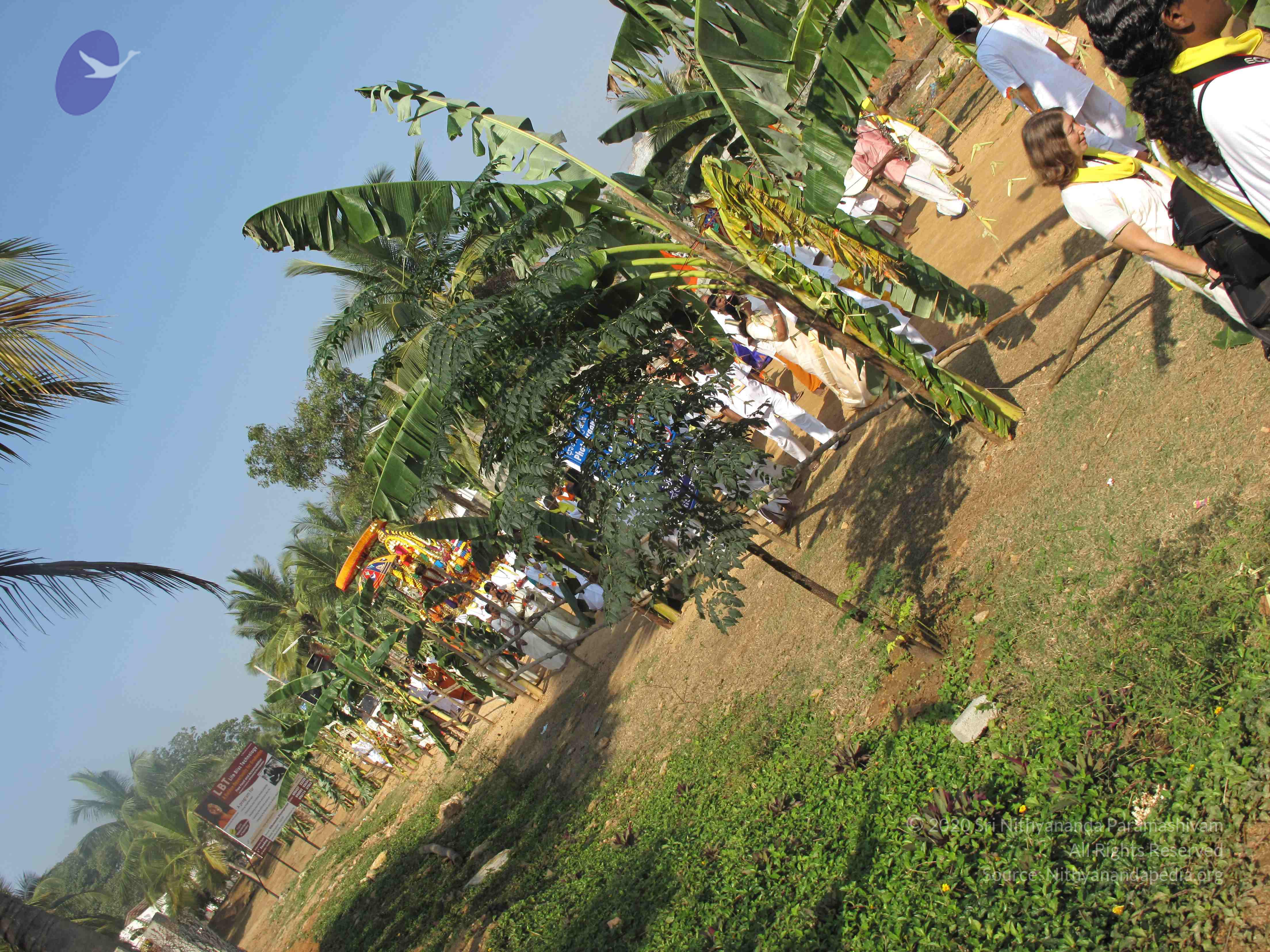 20100101_Photo_1212_IMG_1603_CMP_WM