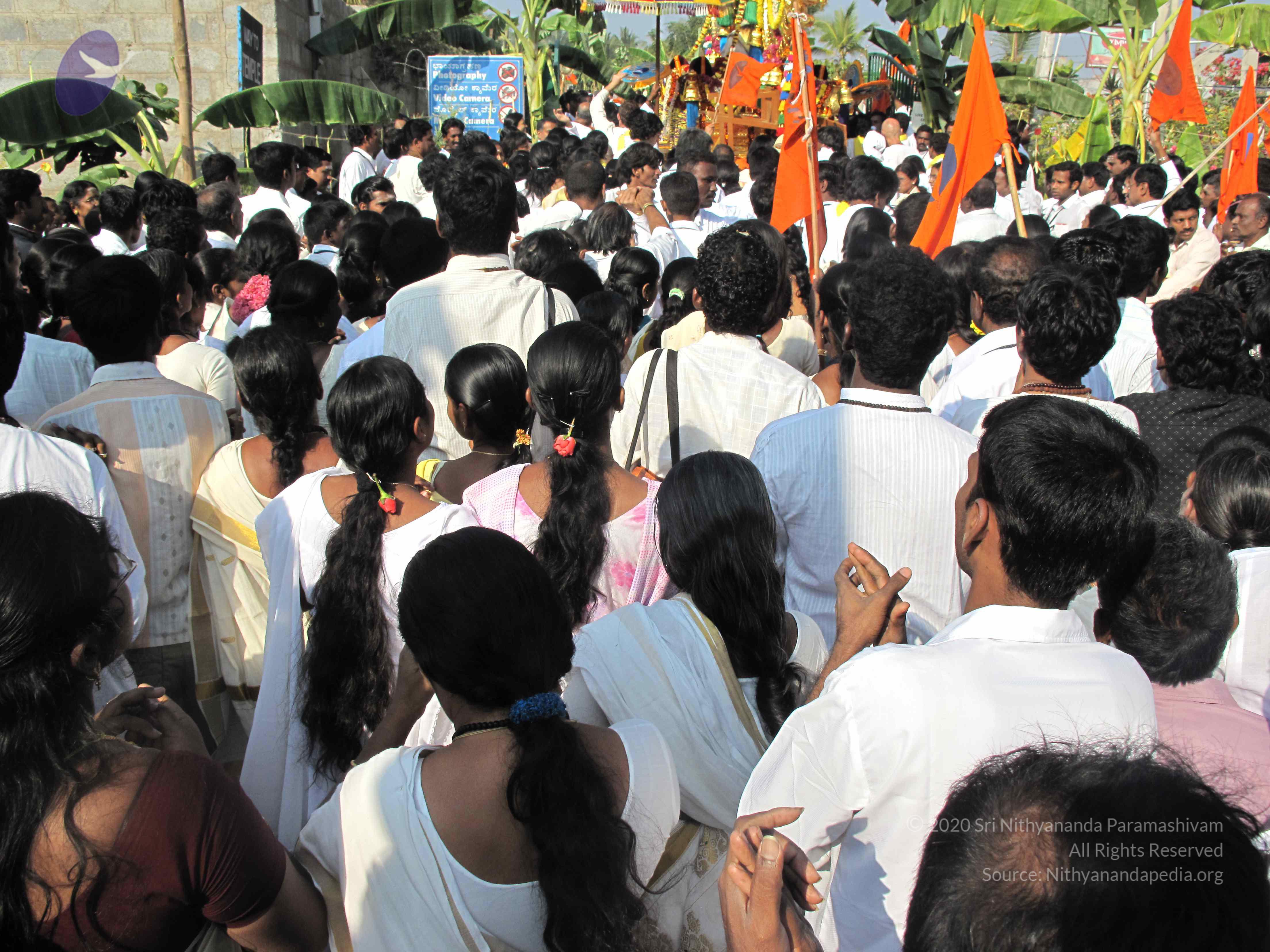 20100101_Photo_1221_IMG_1458_CMP_WM