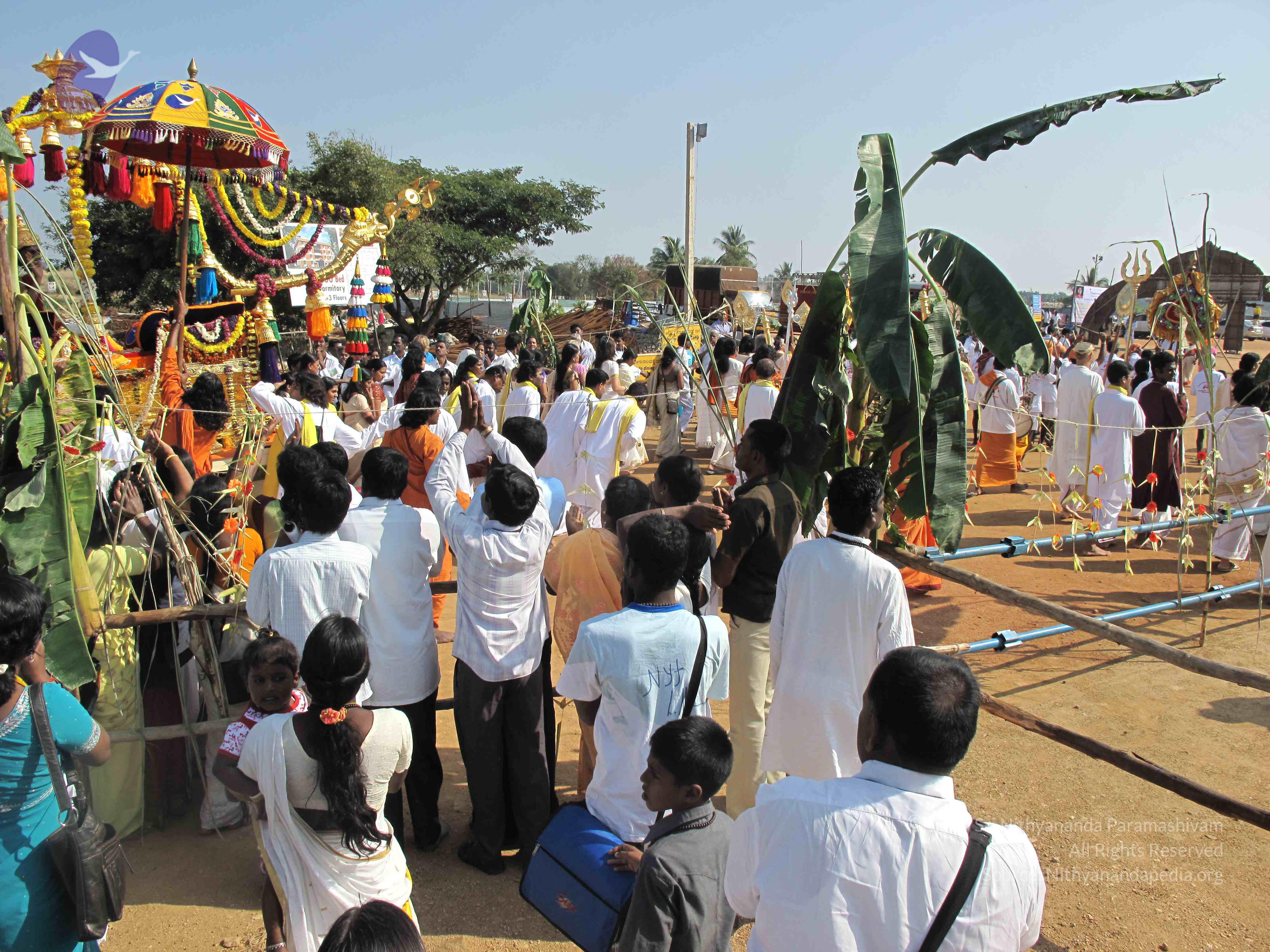 20100101_Photo_1223_IMG_1670_CMP_WM