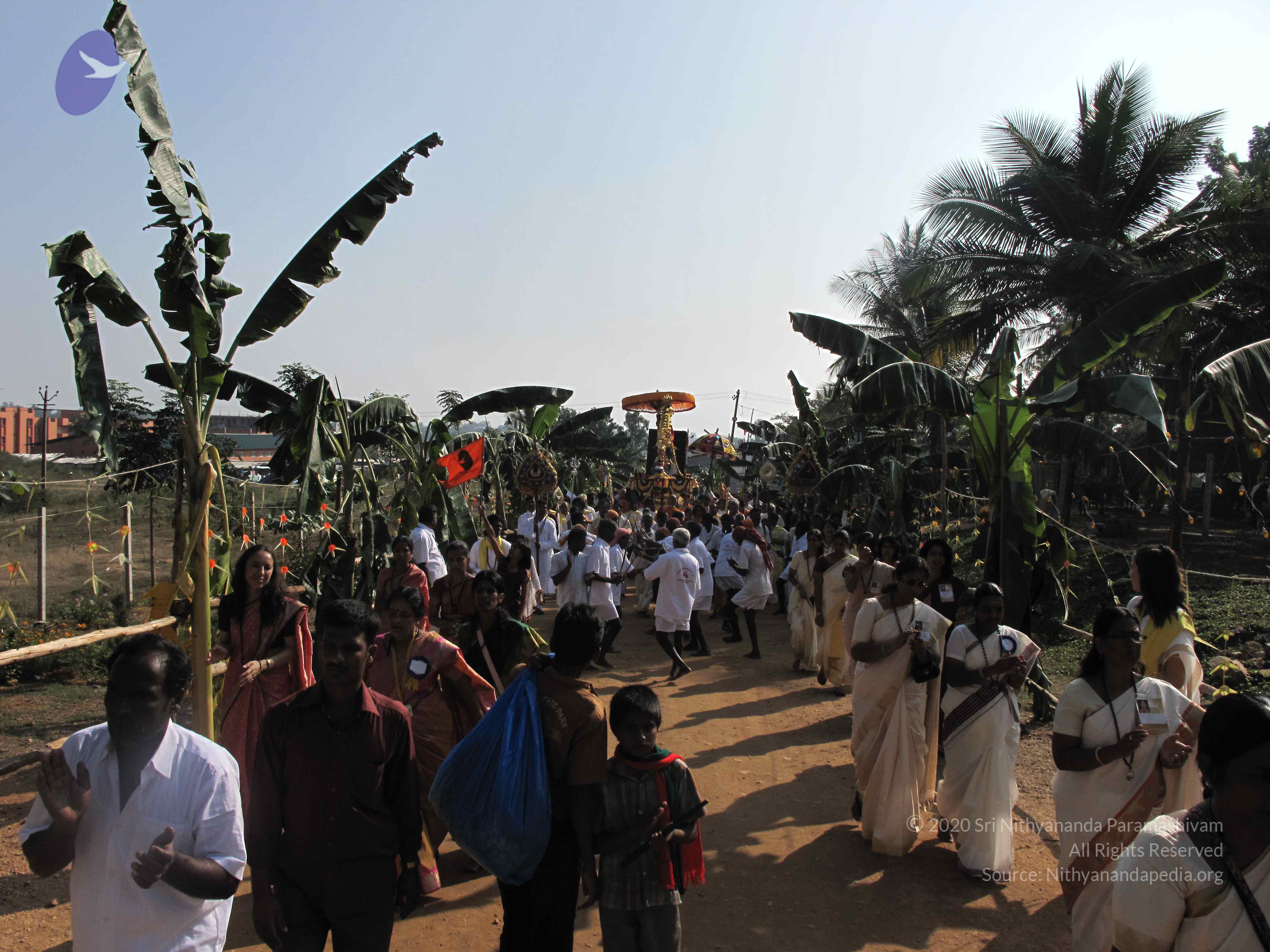 20100101_Photo_1268_IMG_1465_CMP_WM