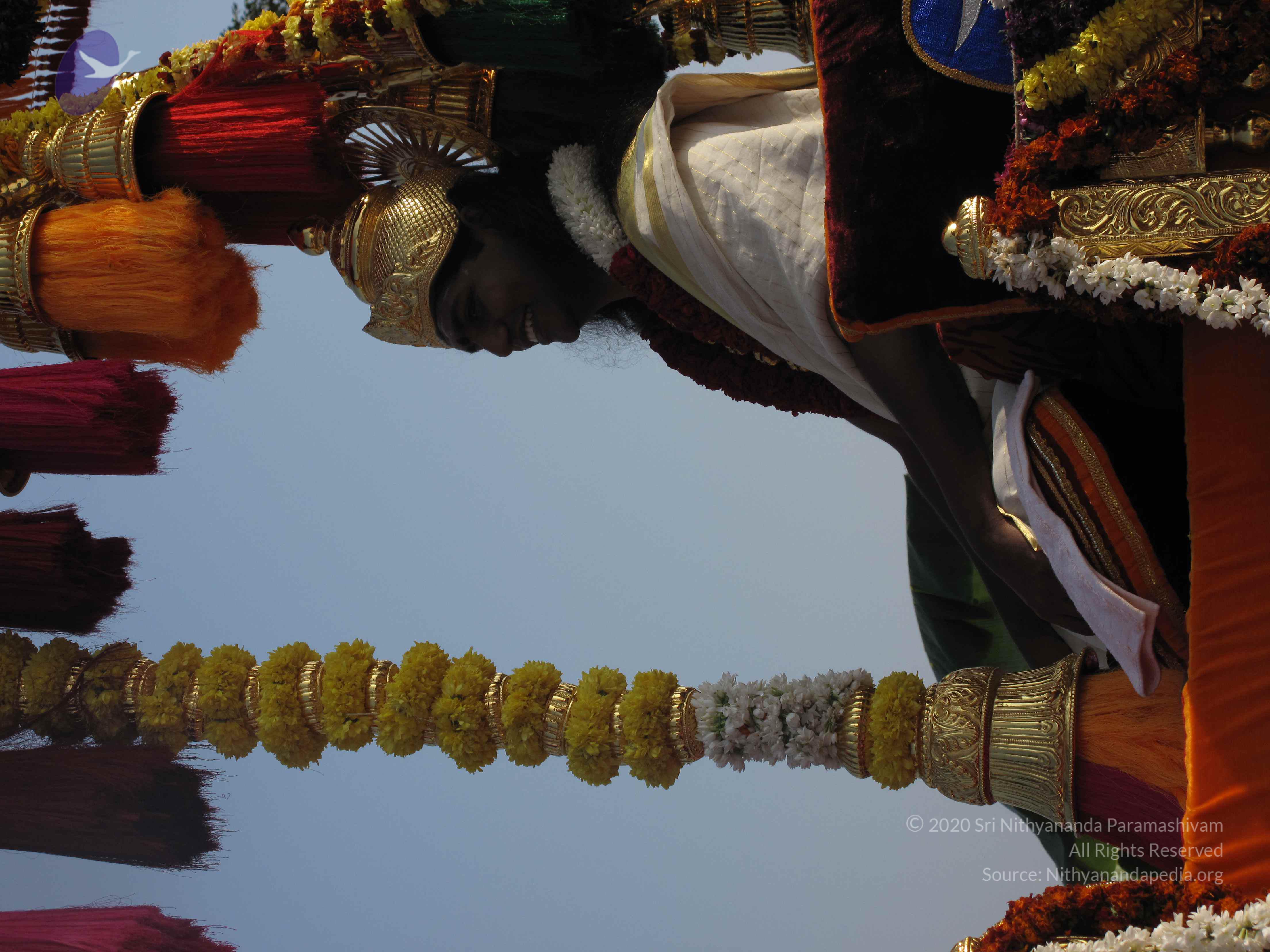 20100101_Photo_1278_IMG_1329_CMP_WM