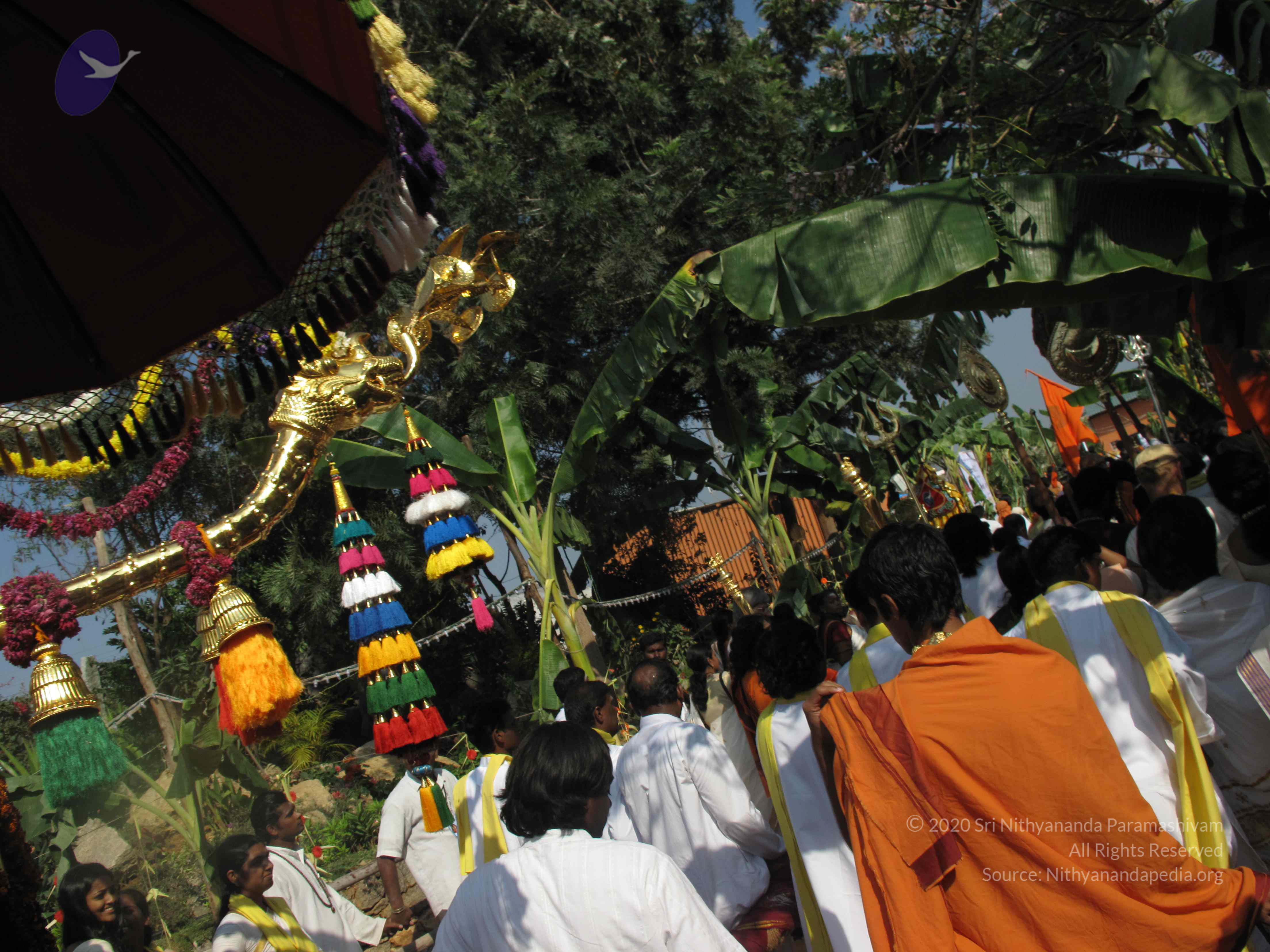 20100101_Photo_1306_IMG_1627_CMP_WM