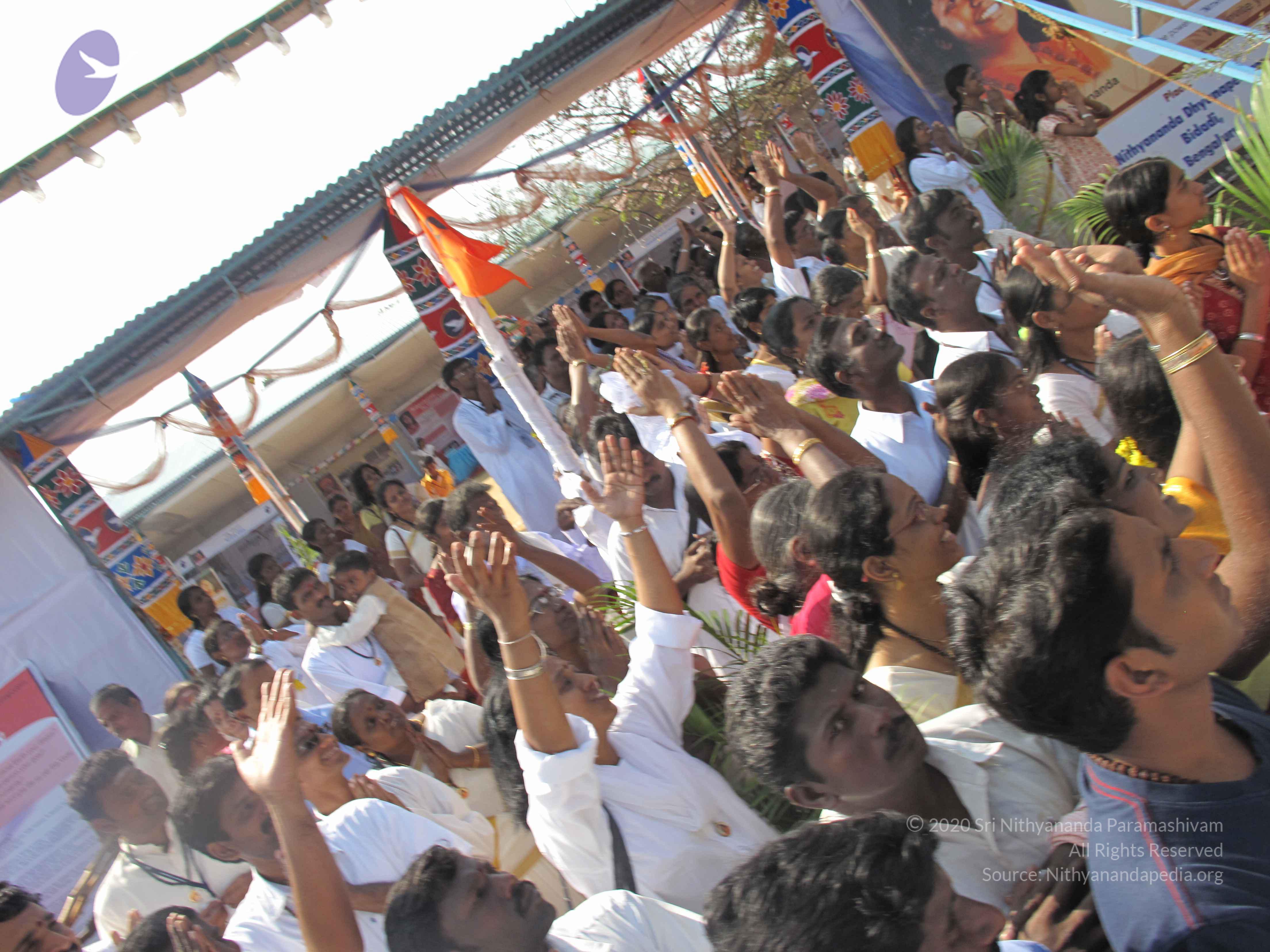 20100101_Photo_1310_IMG_1645_CMP_WM