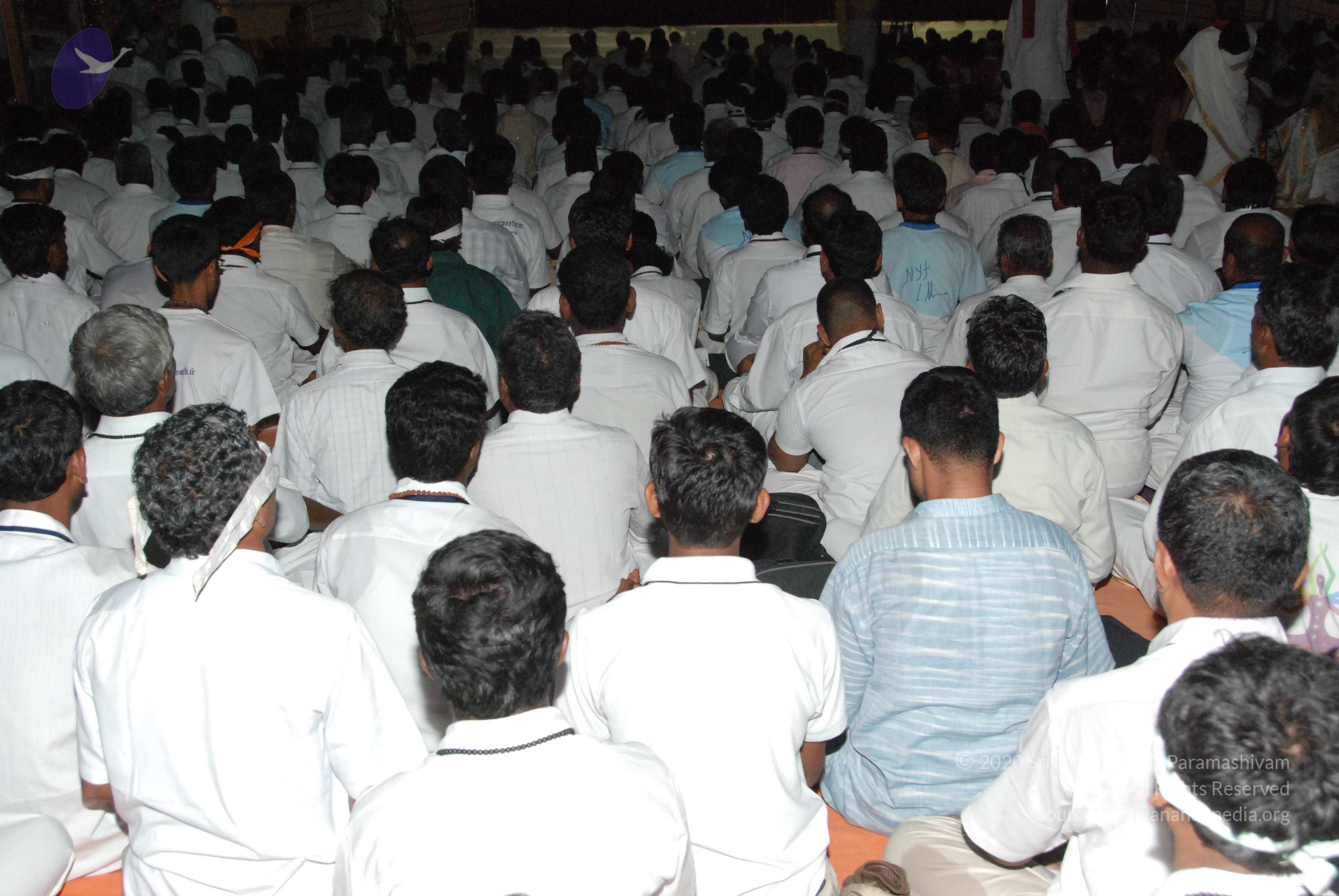 20100101_Photo_1006_DSC_2414_CMP_WM