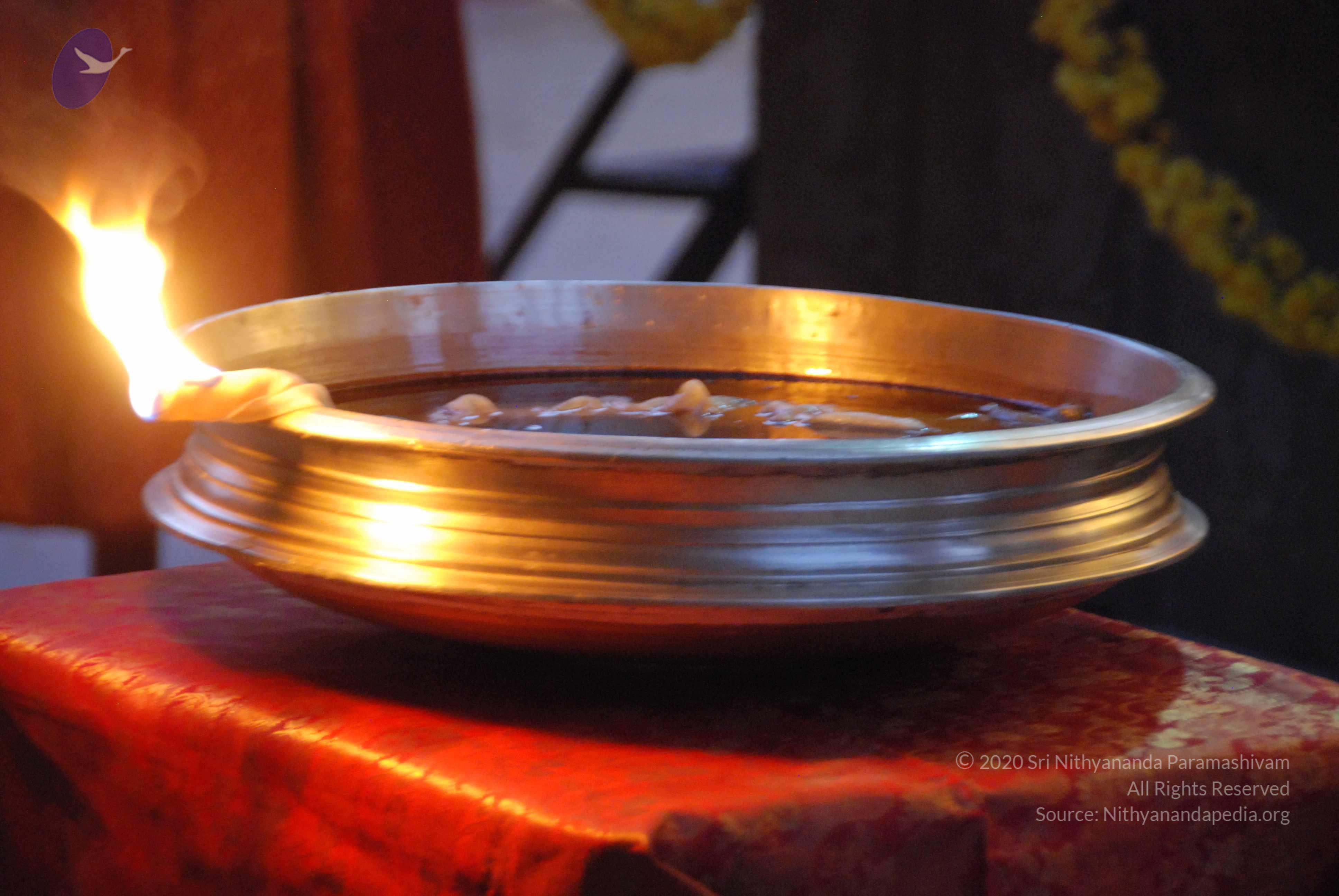 20100101_Photo_1005_DSC_3911_CMP_WM