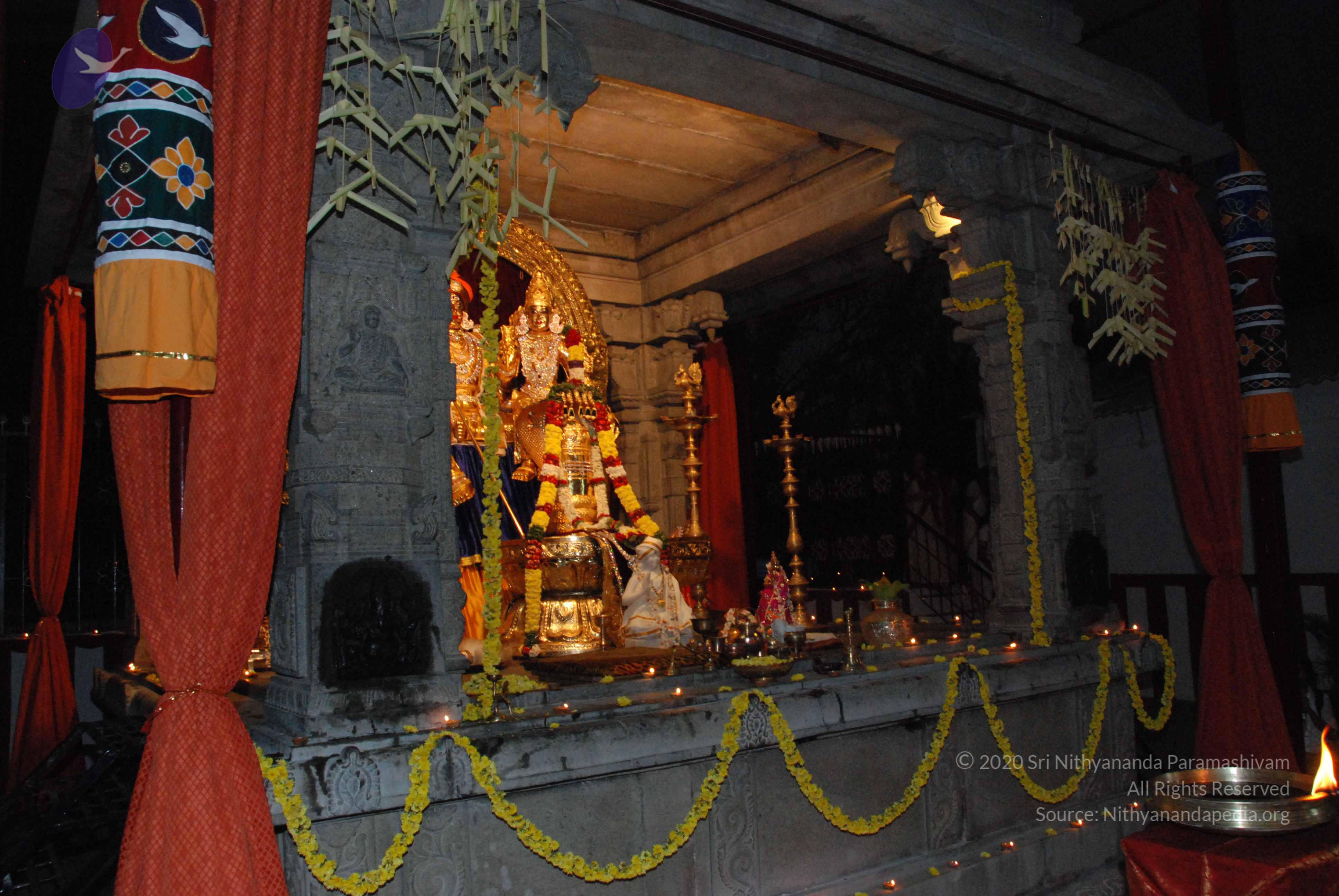 20100101_Photo_1009_DSC_3923_CMP_WM