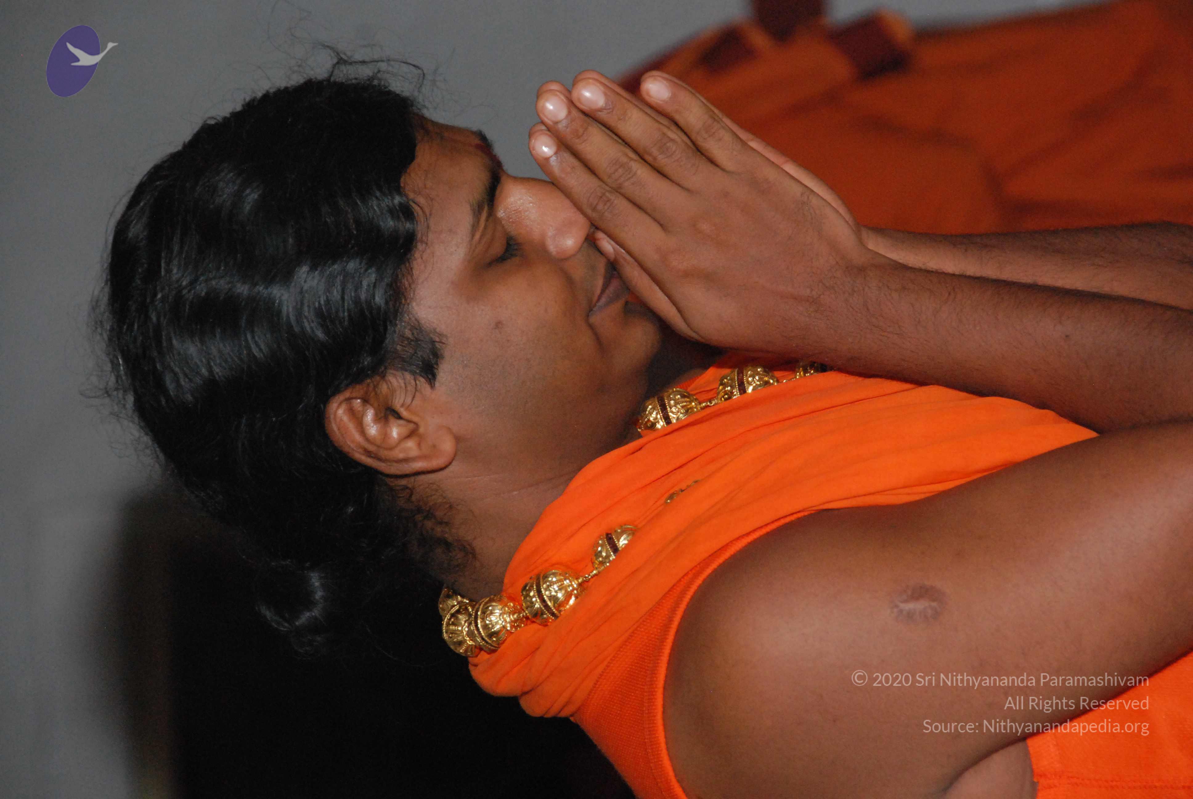 20100101_Photo_1022_DSC_3907_CMP_WM