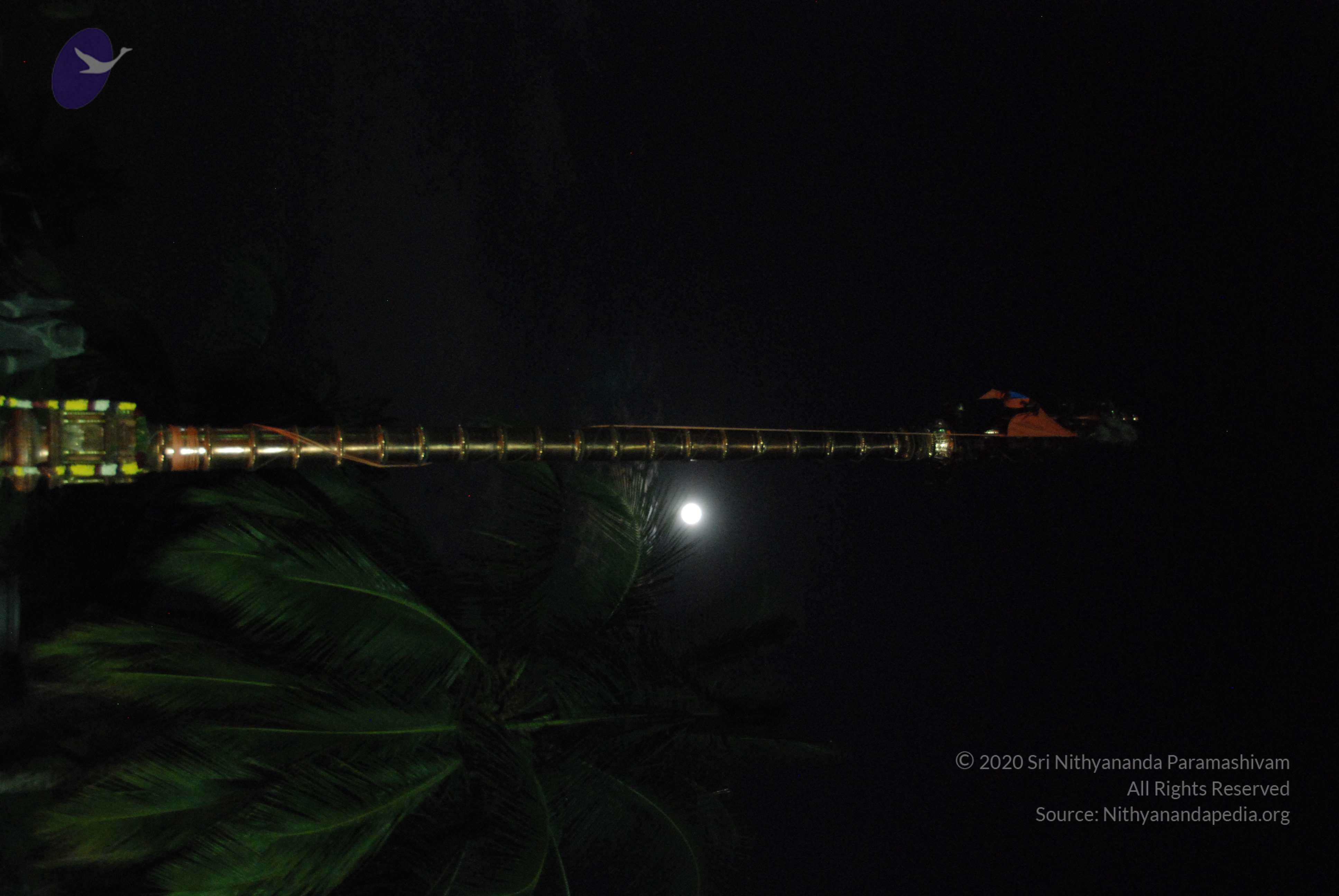 20100101_Photo_1033_DSC_3948_CMP_WM