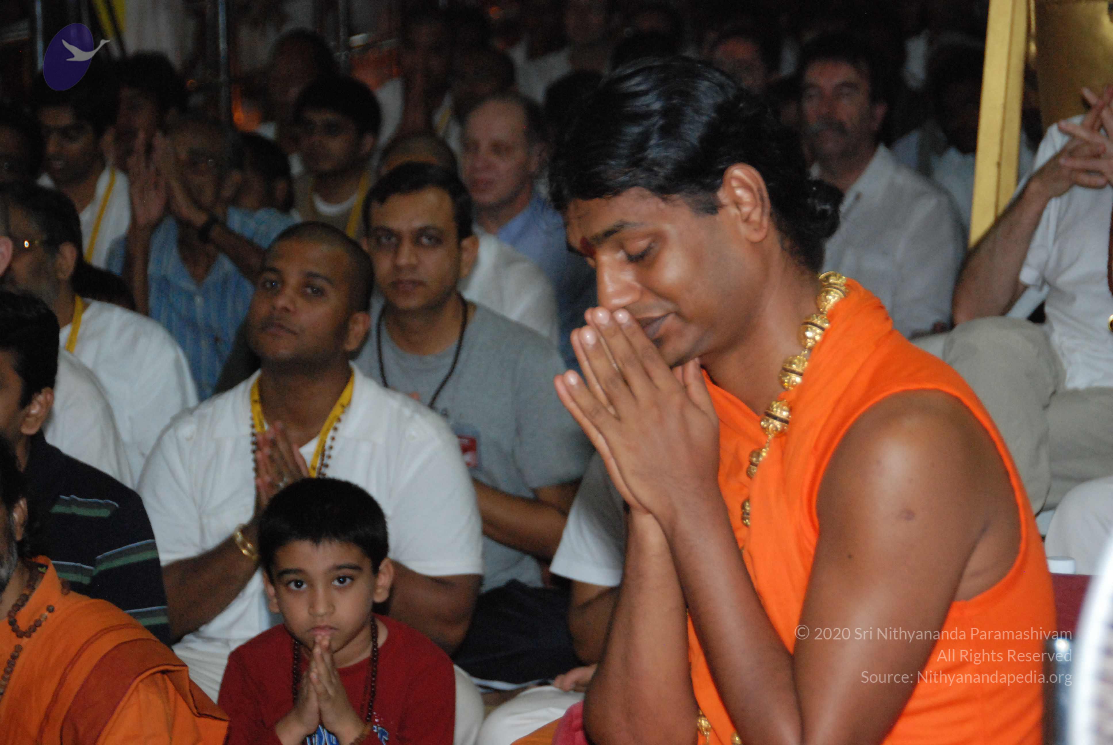 20100101_Photo_1043_DSC_3934_CMP_WM