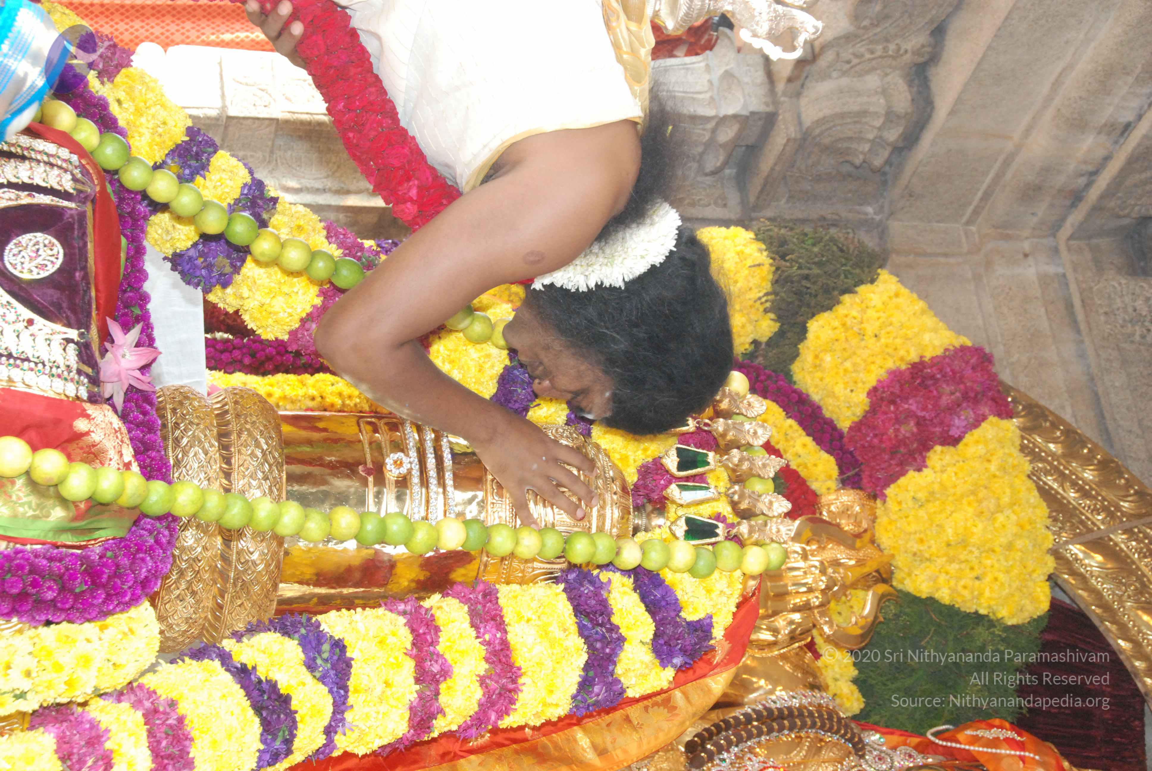 20100101_Photo_1003_DSC_1834_CMP_WM