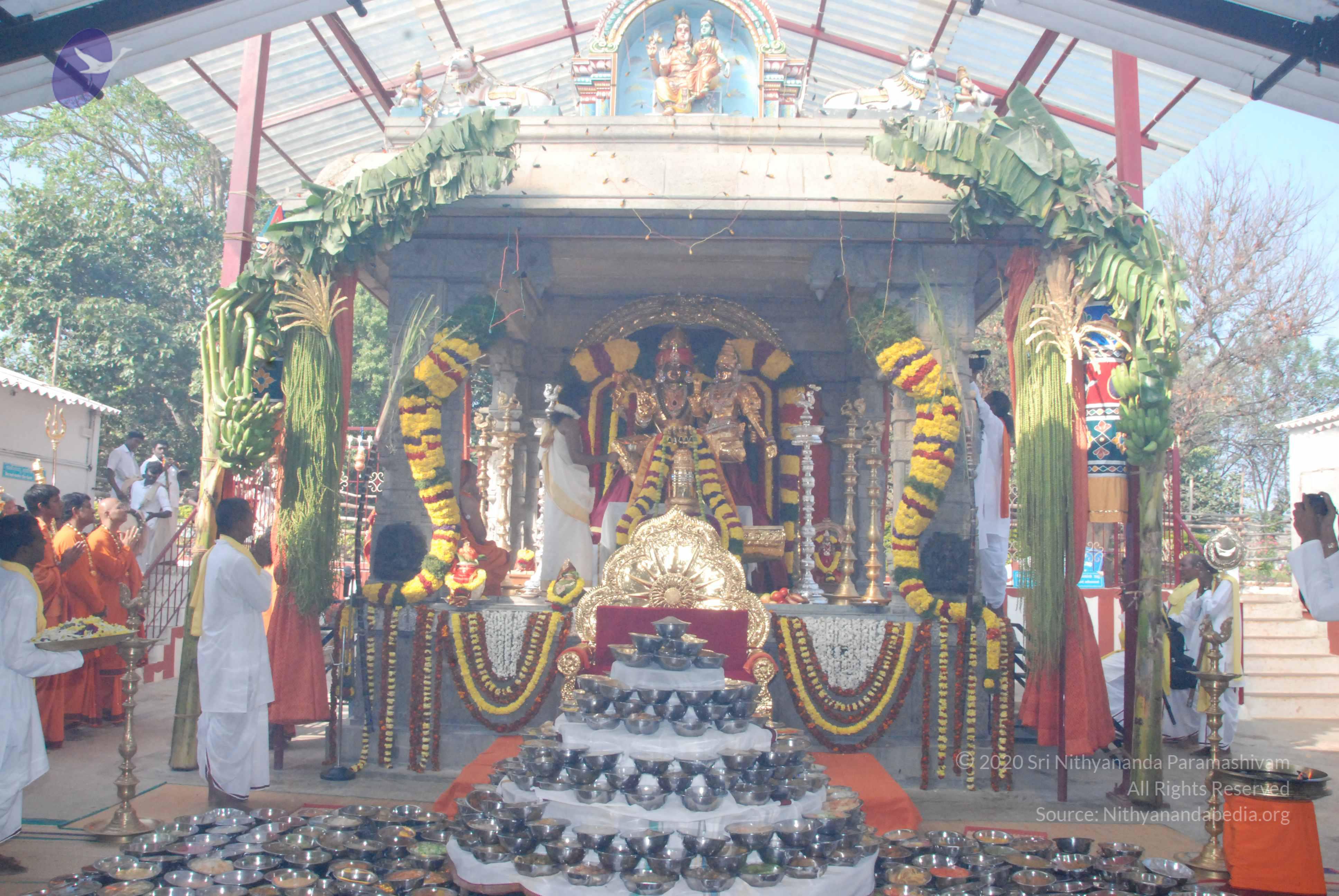 20100101_Photo_1019_DSC_1836_CMP_WM