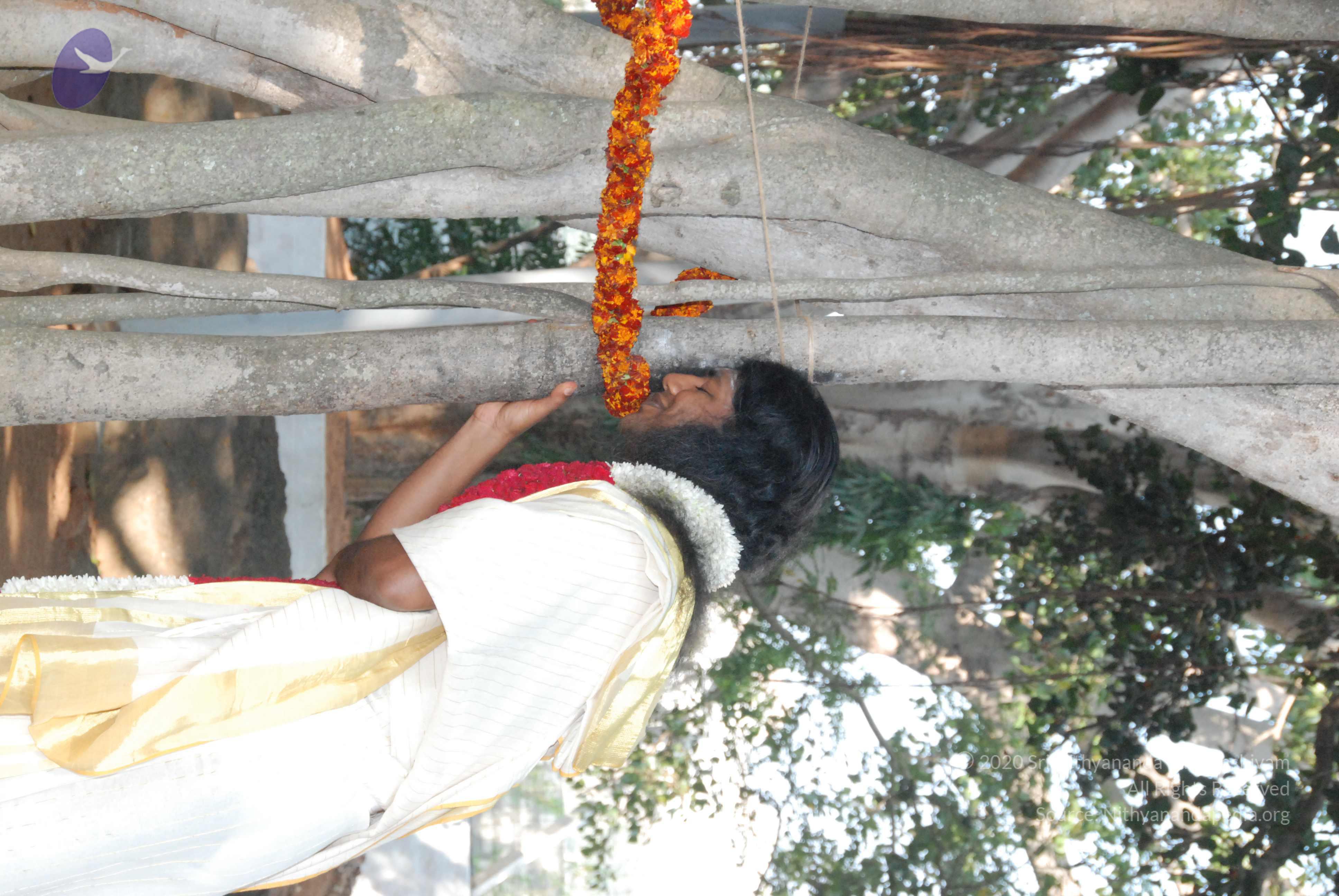 20100101_Photo_1021_DSC_1854_CMP_WM