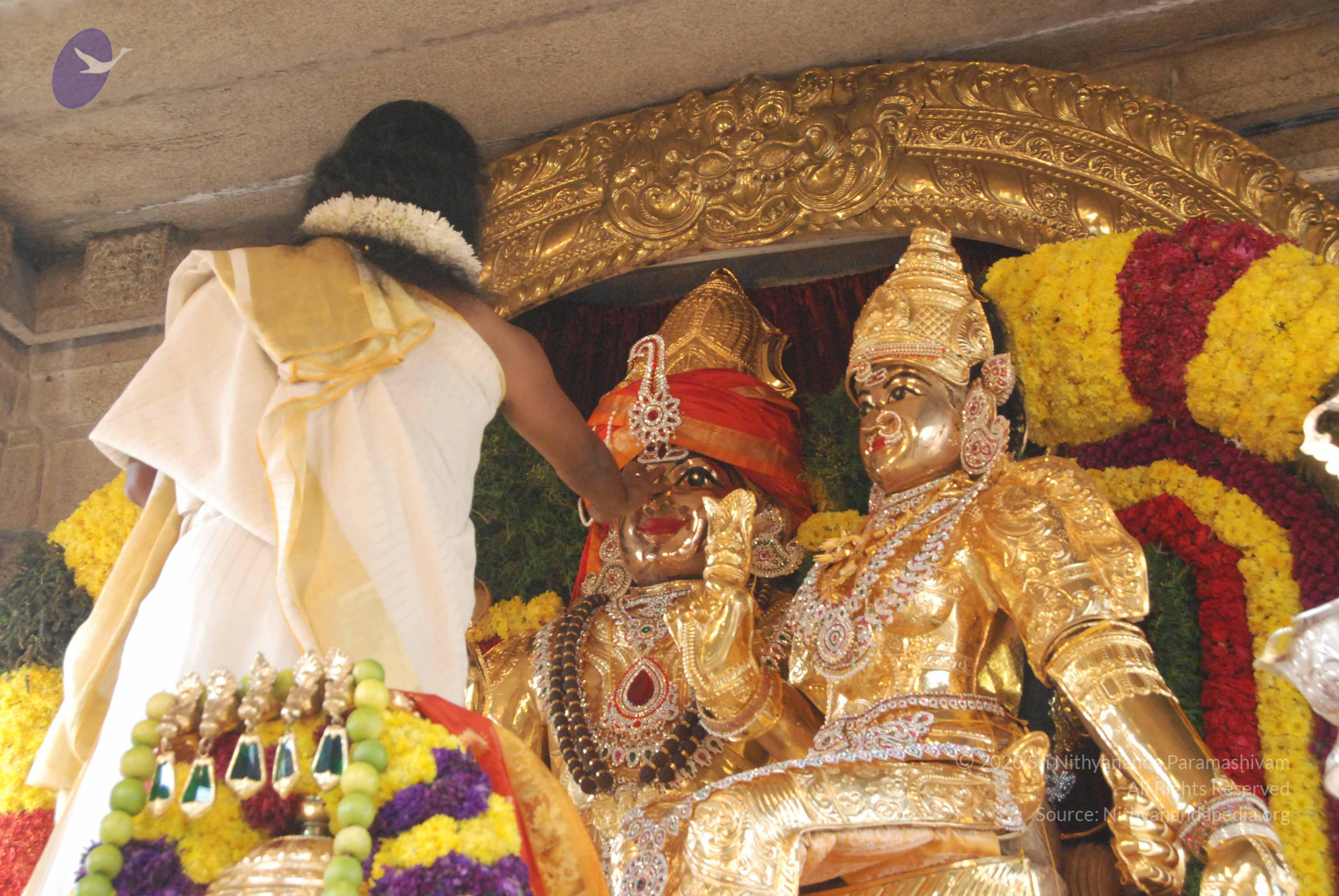 20100101_Photo_1028_DSC_1822_CMP_WM