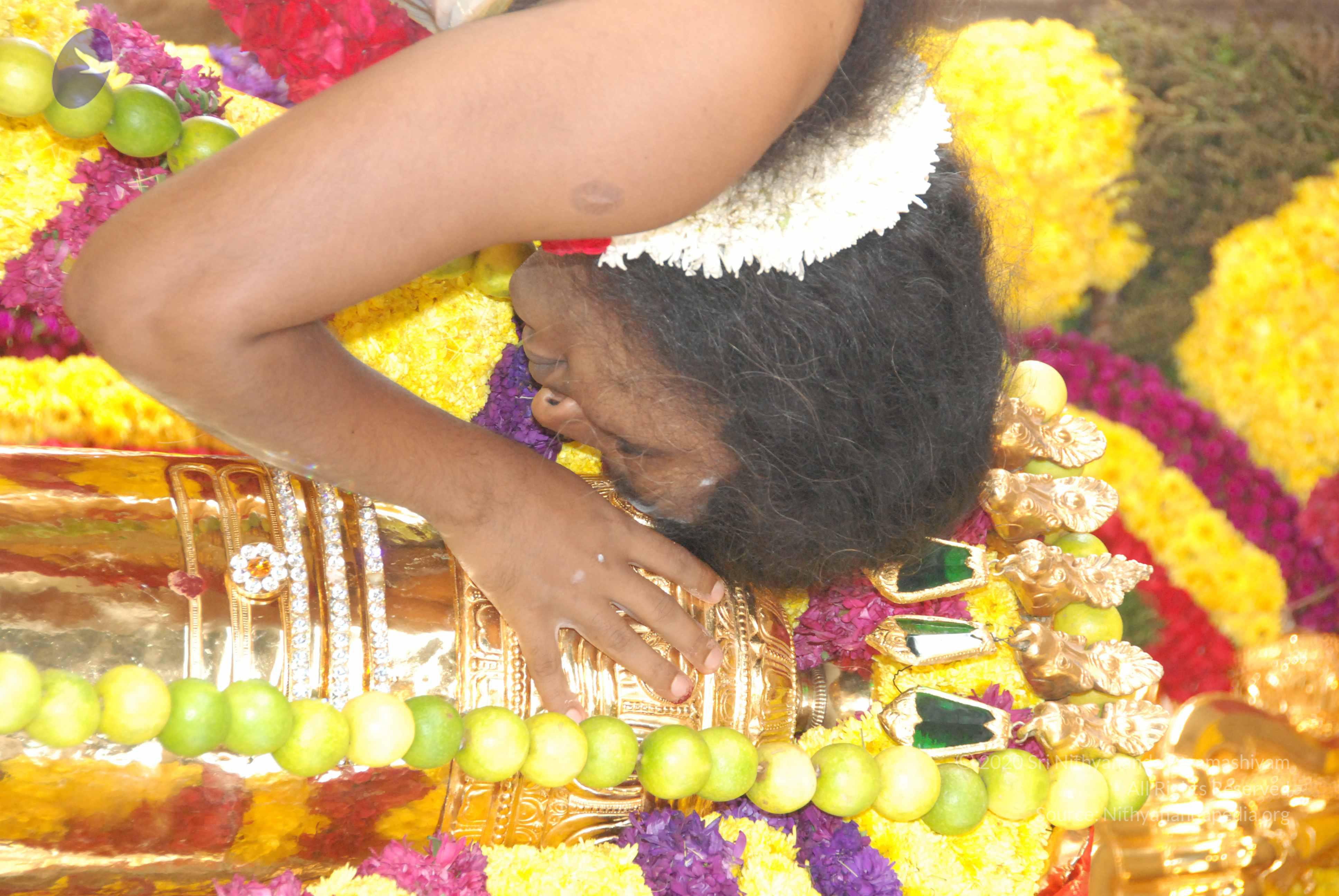 20100101_Photo_1029_DSC_1830_CMP_WM