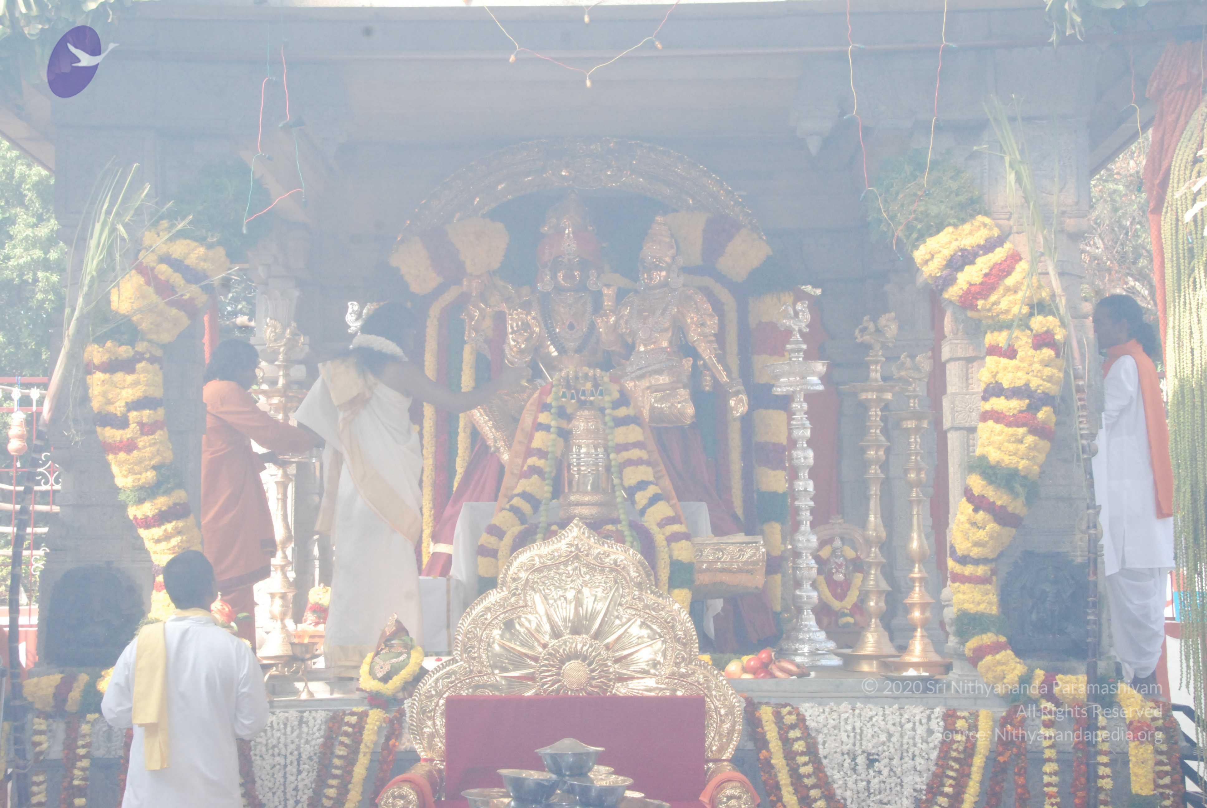 20100101_Photo_1033_DSC_1843_CMP_WM