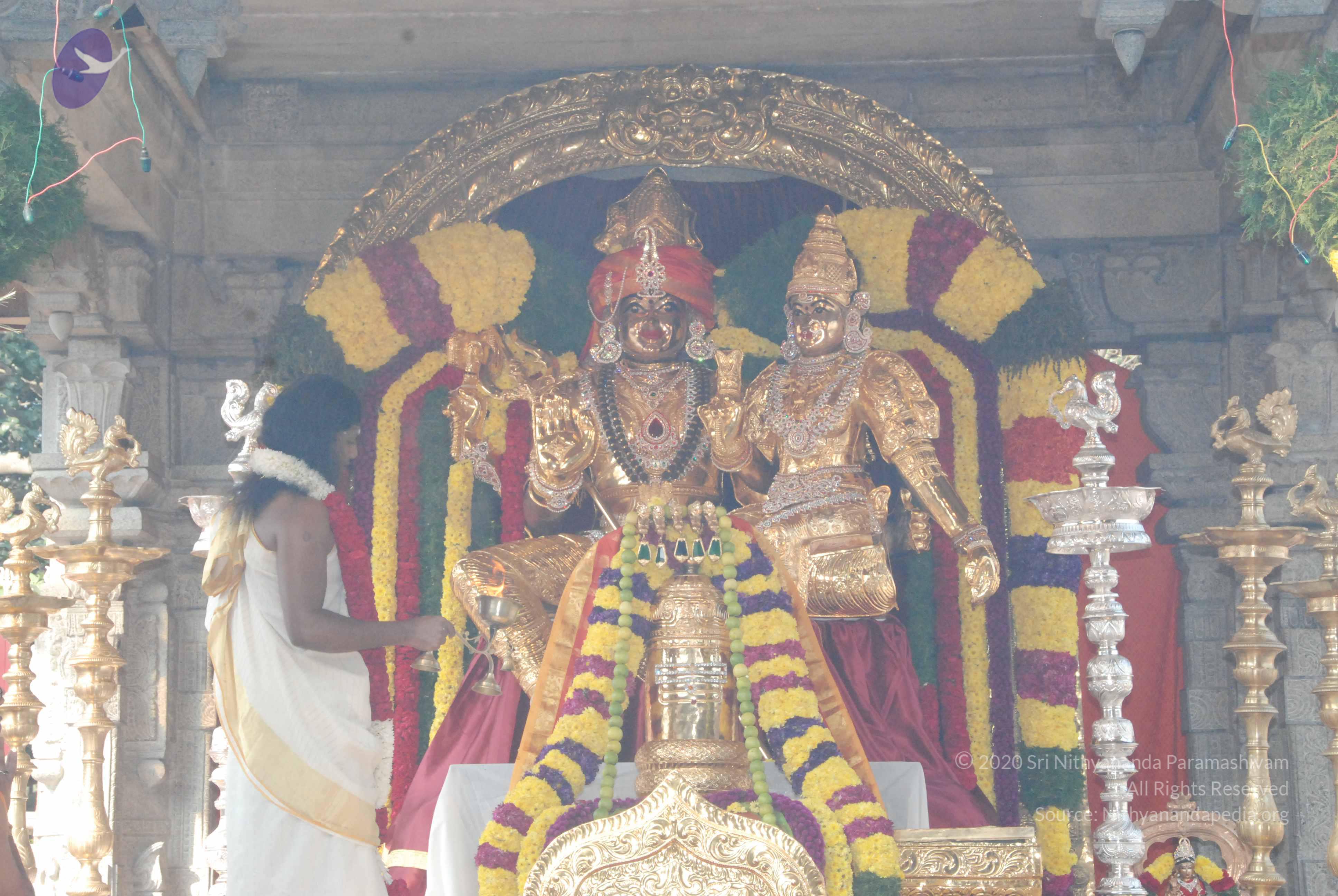 20100101_Photo_1036_DSC_1838_CMP_WM