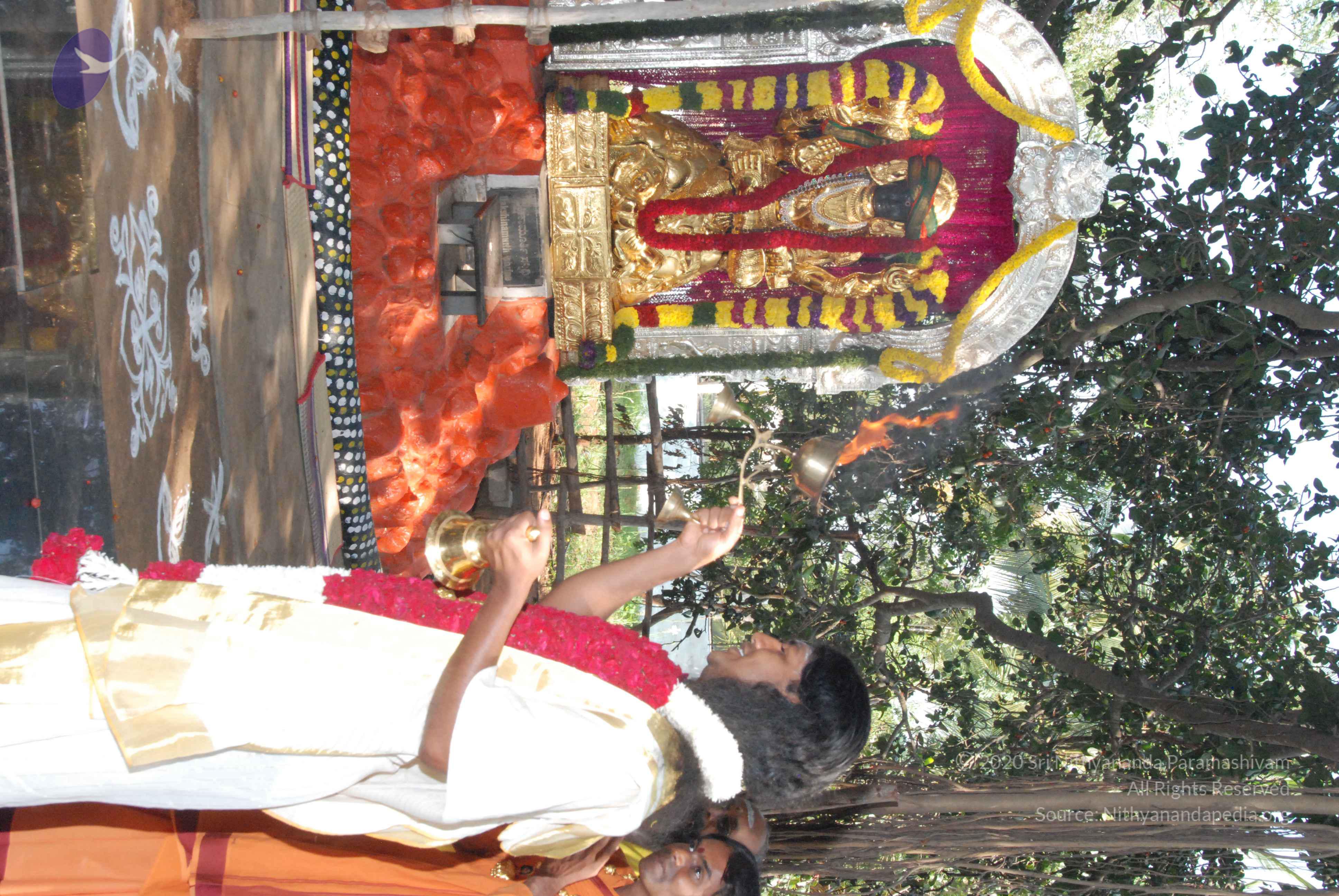 20100101_Photo_1041_DSC_1860_CMP_WM