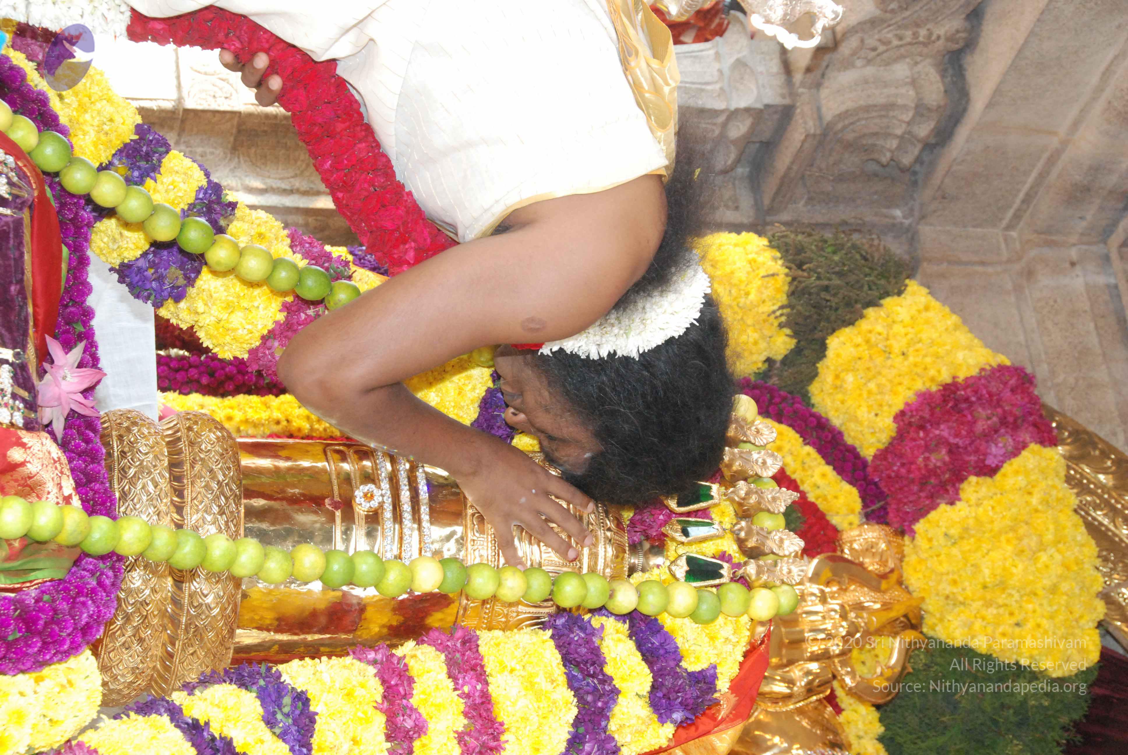 20100101_Photo_1042_DSC_1829_CMP_WM