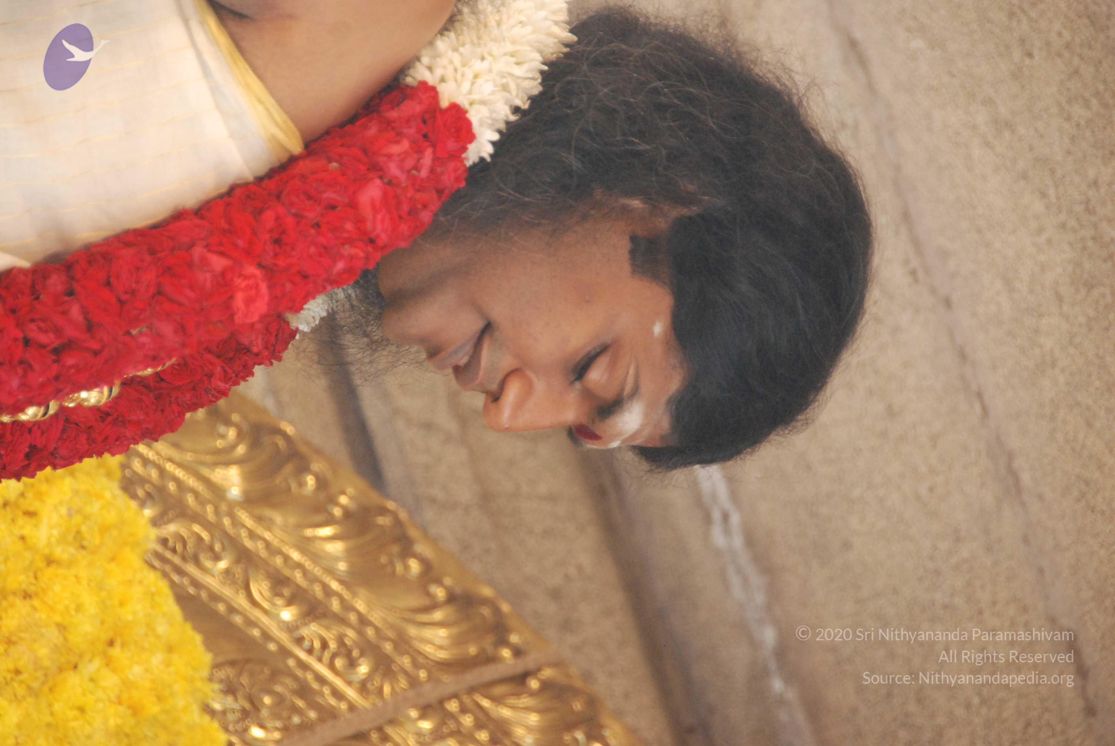 20100101_Photo_1043_DSC_1819_CMP_WM