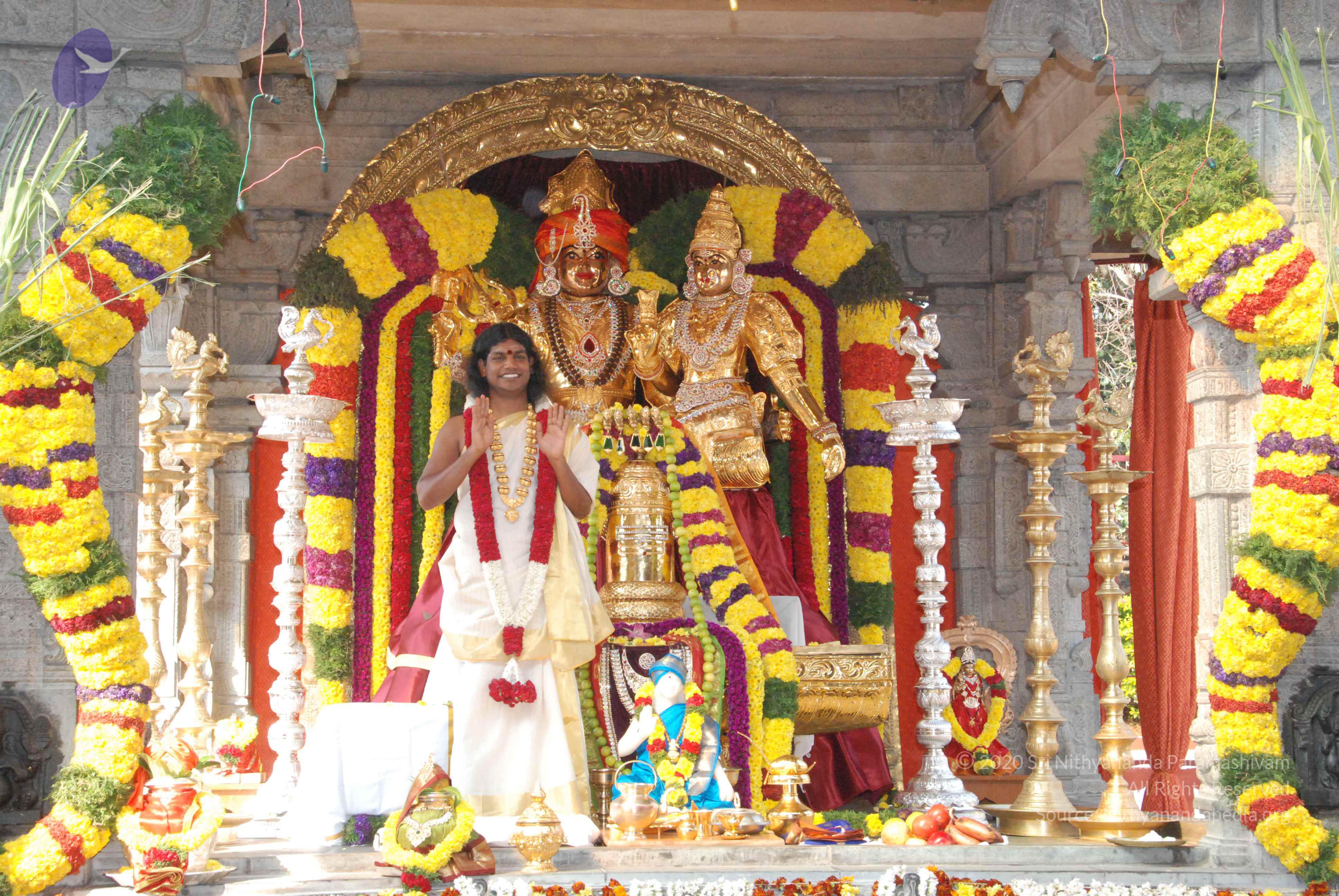 20100101_Photo_1046_DSC_1867_CMP_WM