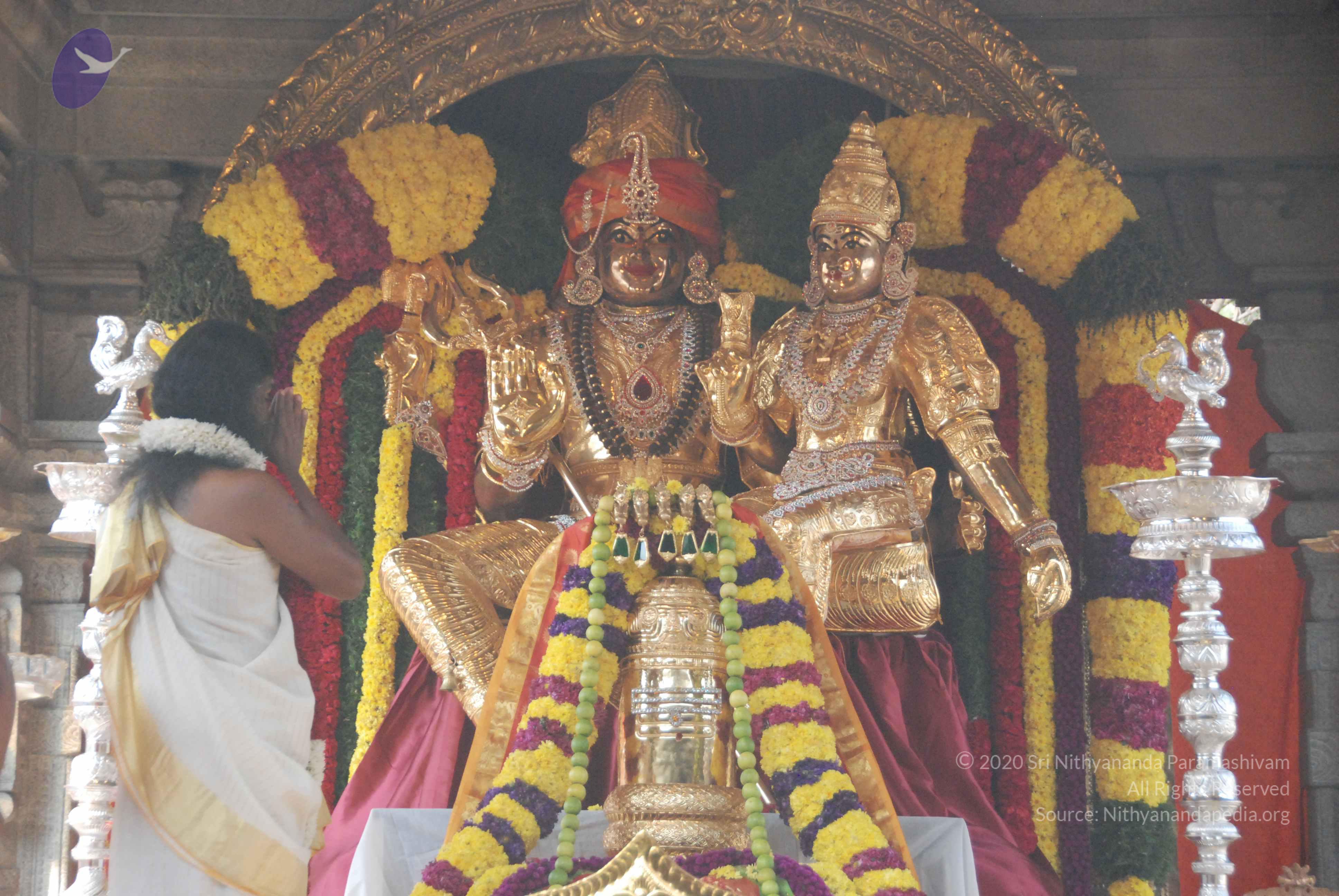 20100101_Photo_1047_DSC_1841_CMP_WM