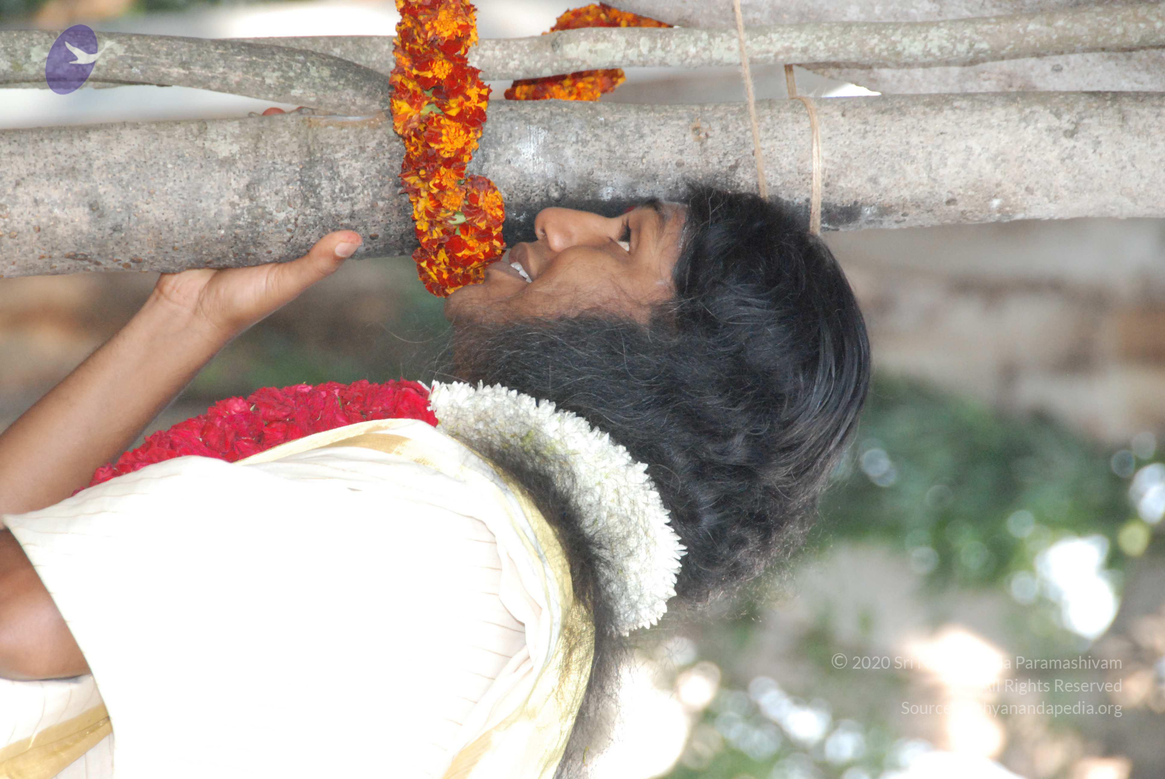 20100101_Photo_1055_DSC_1855_CMP_WM