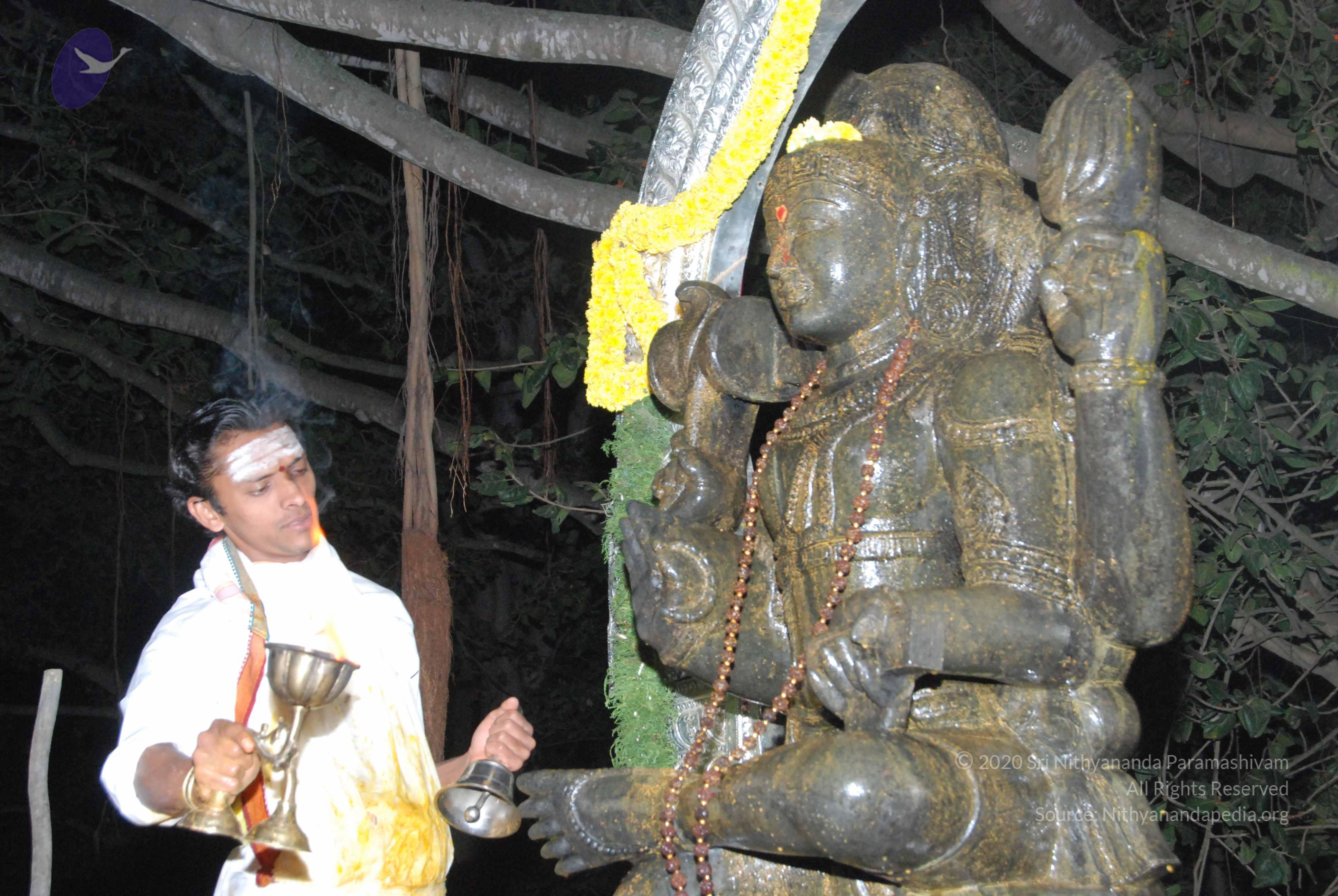 20100101_Photo_1001_DSC_1588_CMP_WM