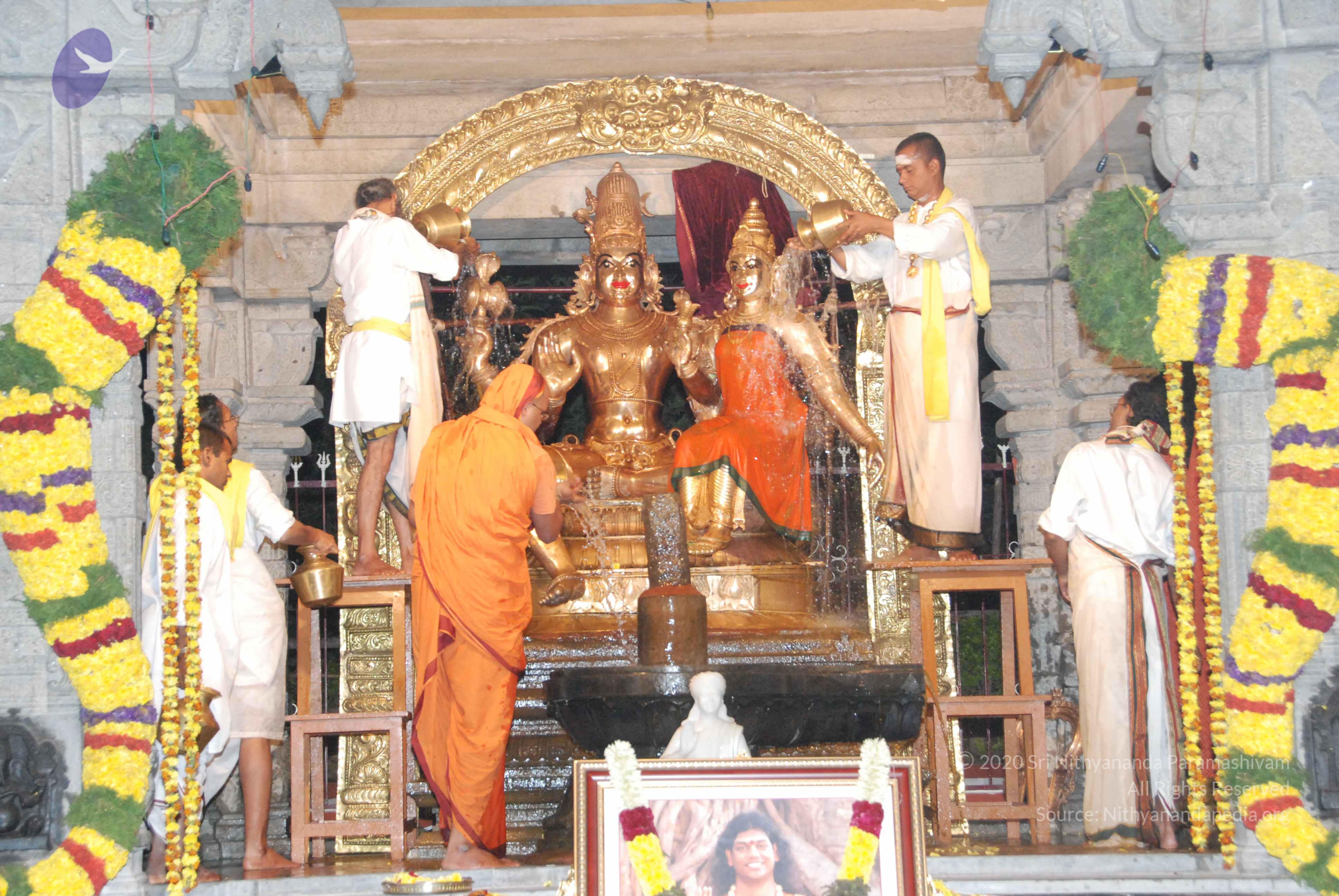 20100101_Photo_1005_DSC_1566_CMP_WM