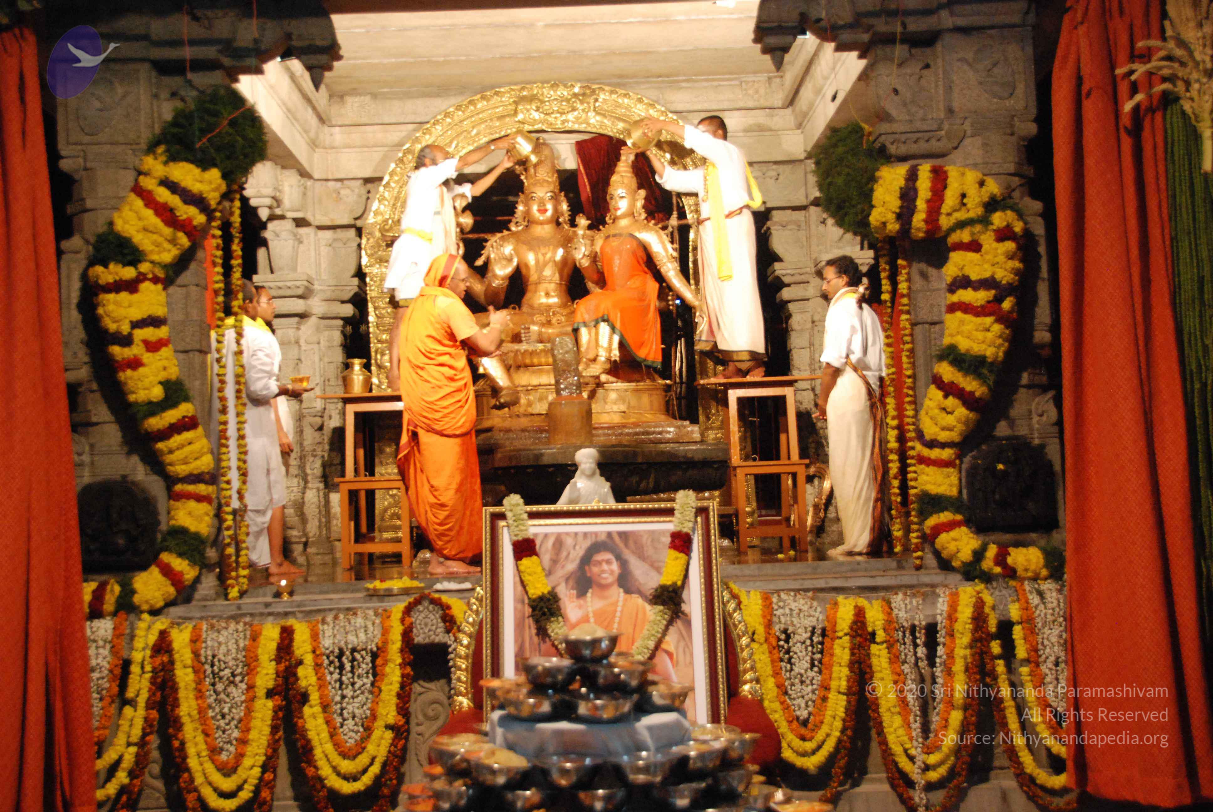 20100101_Photo_1006_DSC_1551_CMP_WM