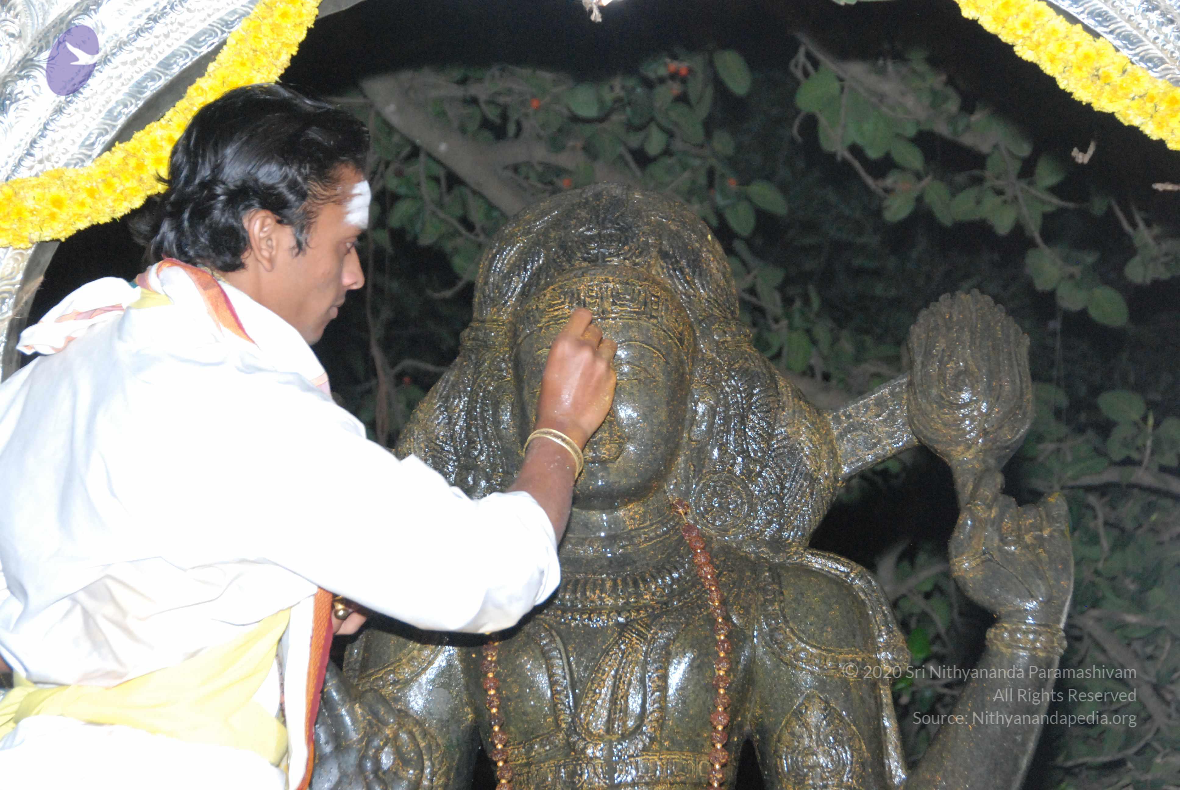 20100101_Photo_1008_DSC_1585_CMP_WM