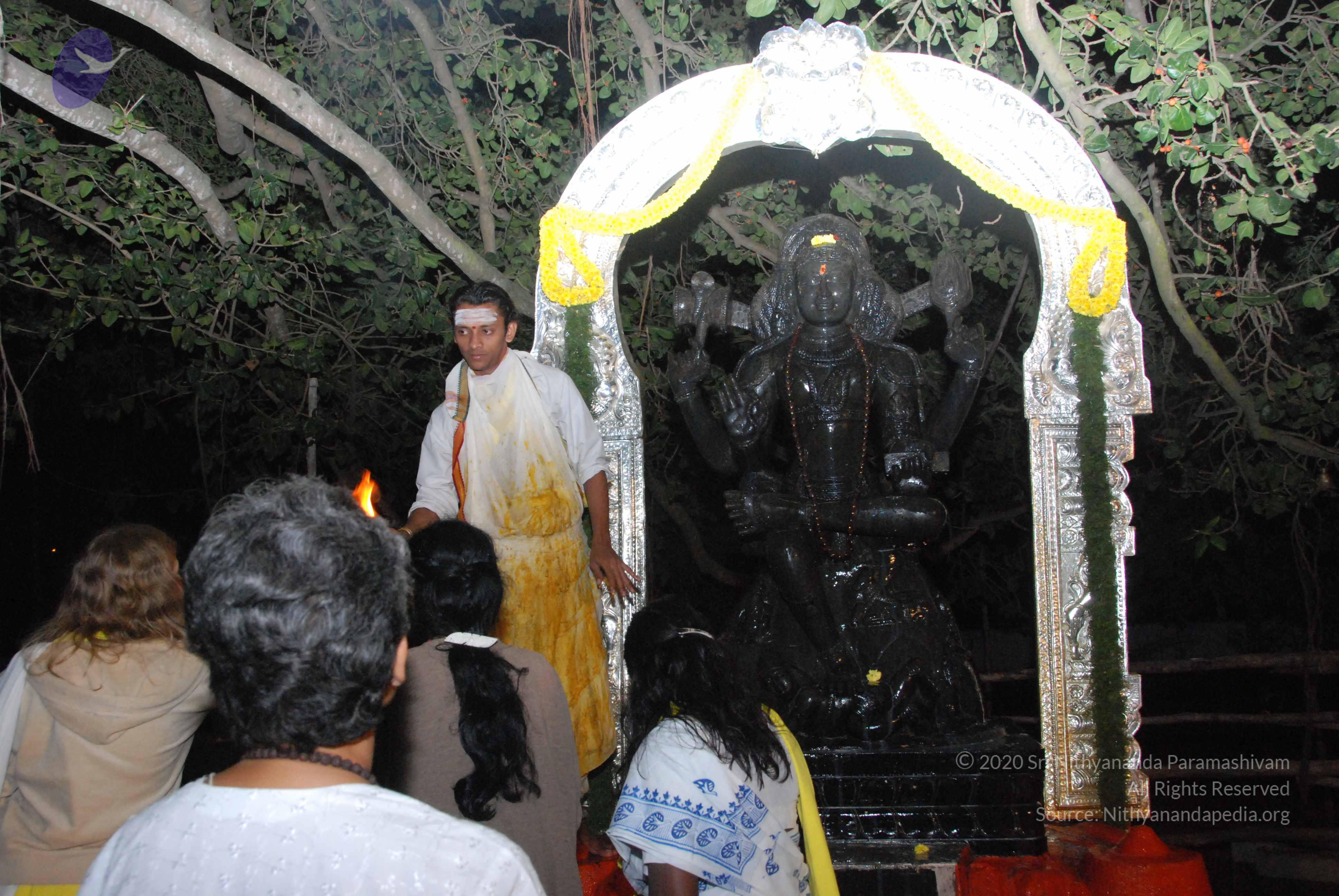 20100101_Photo_1011_DSC_1580_CMP_WM