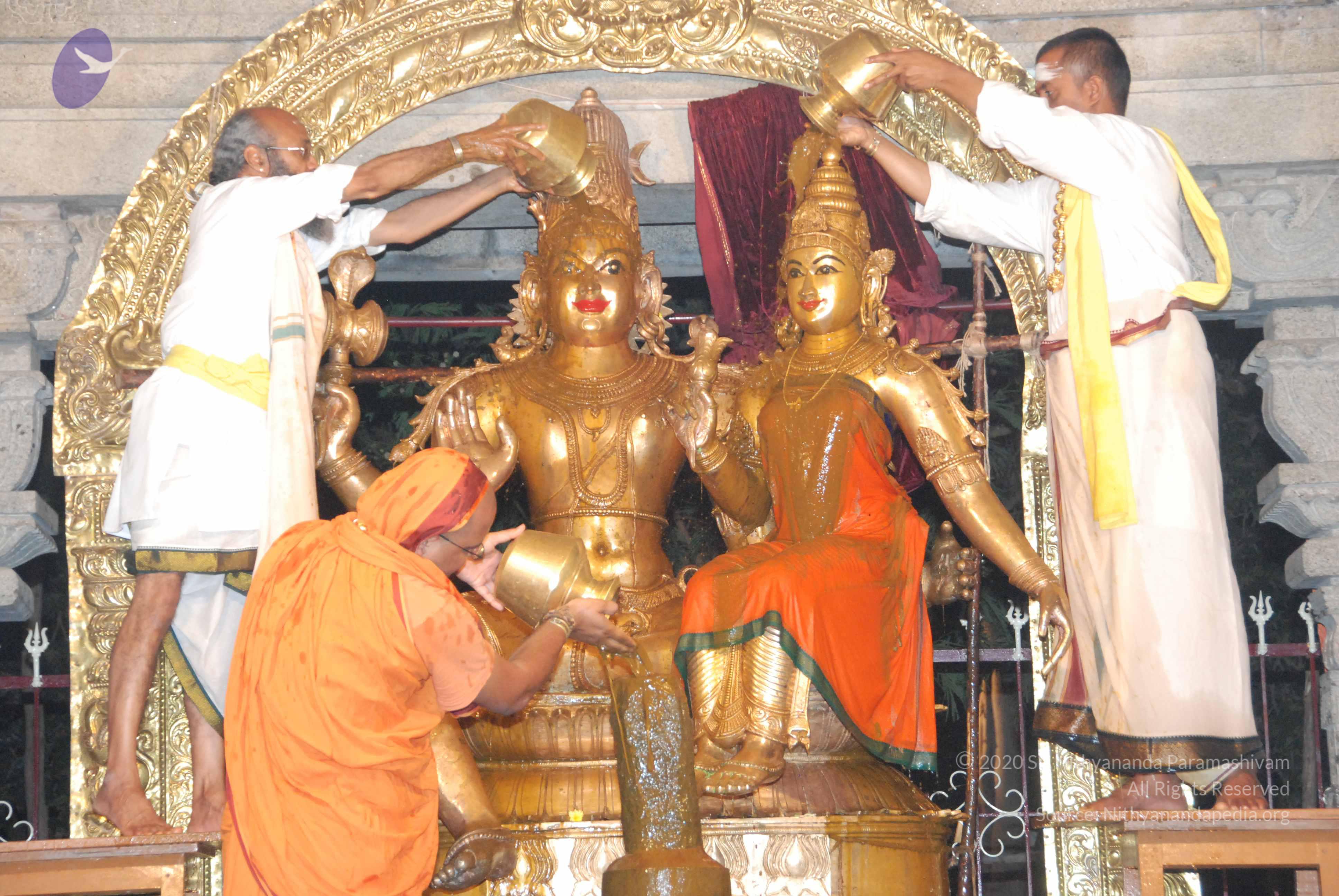 20100101_Photo_1013_DSC_1559_CMP_WM