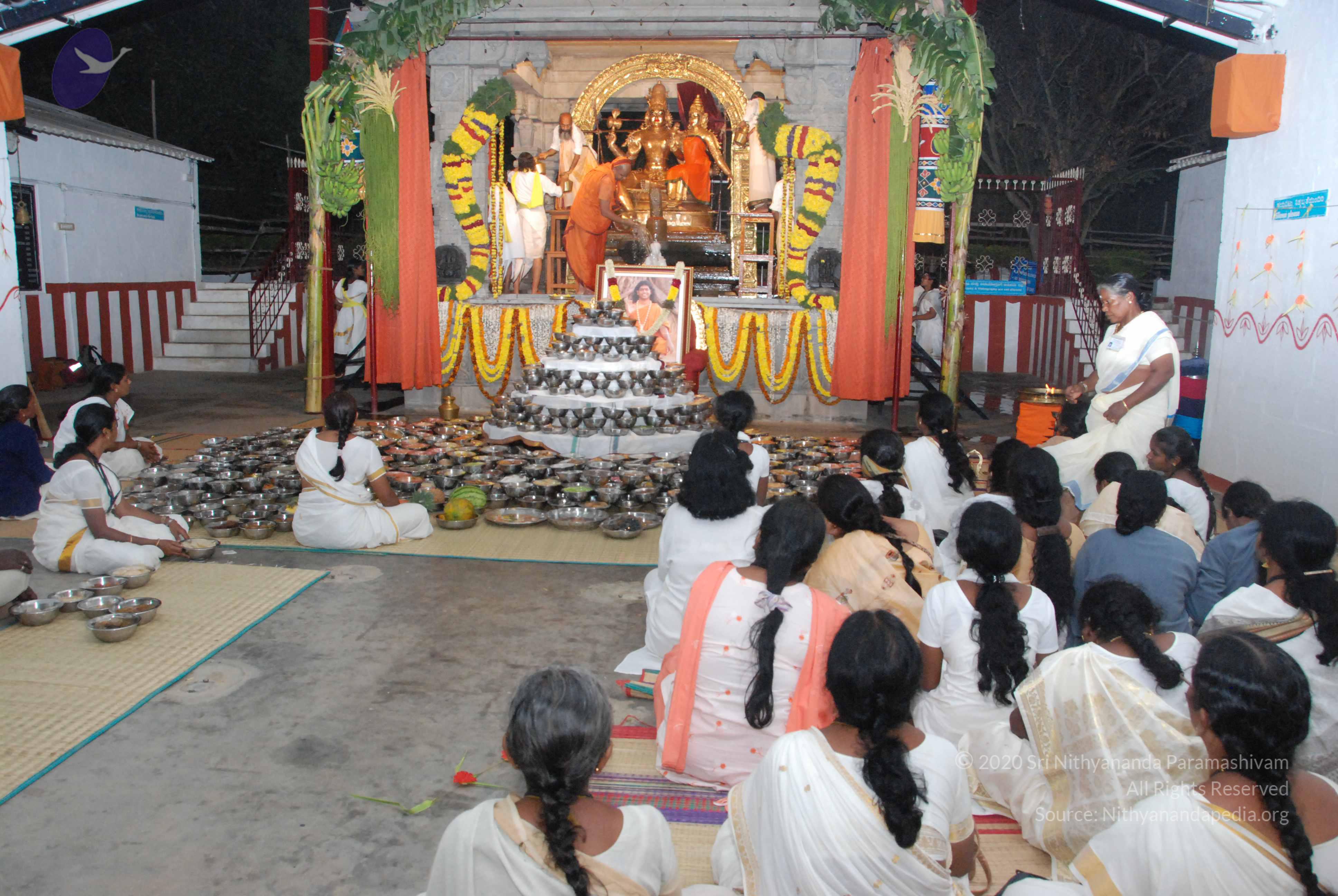 20100101_Photo_1014_DSC_1591_CMP_WM