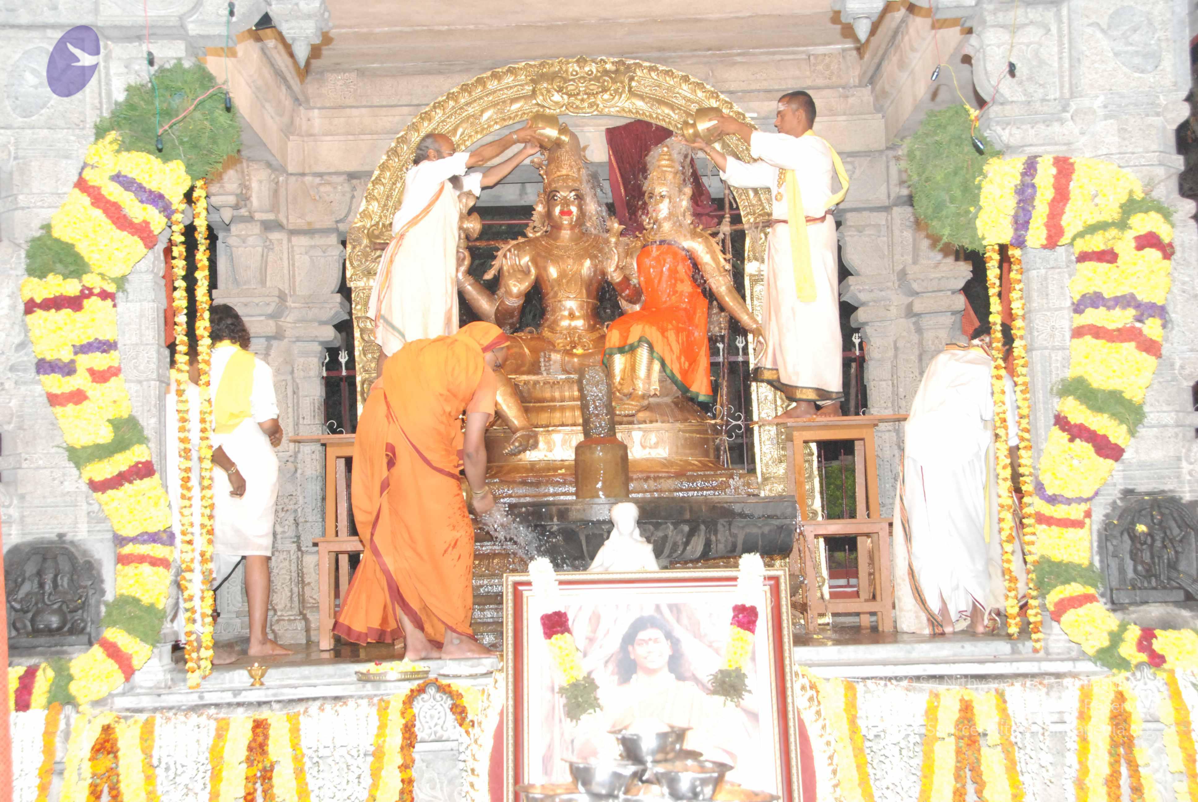 20100101_Photo_1016_DSC_1545_CMP_WM