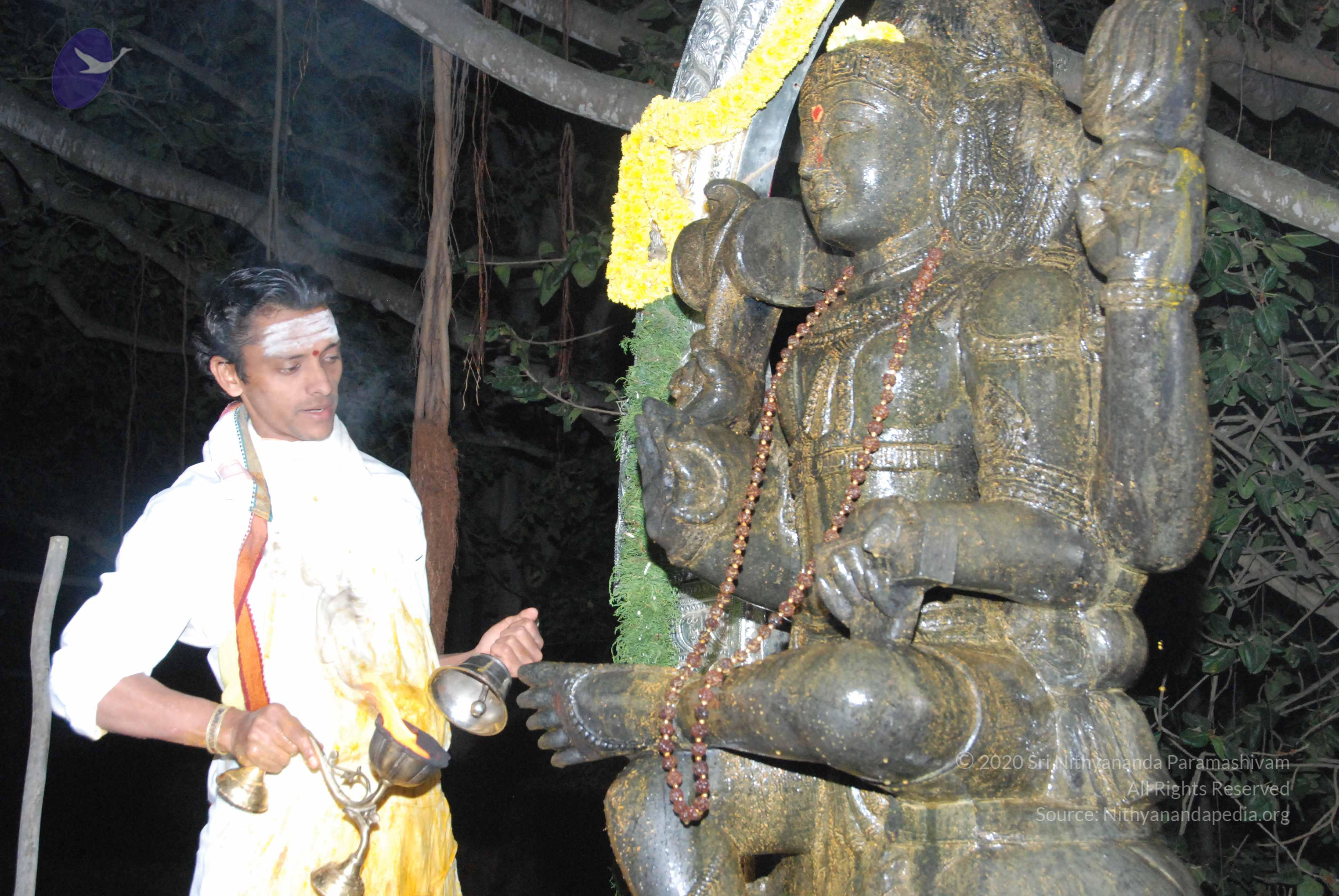 20100101_Photo_1024_DSC_1587_CMP_WM