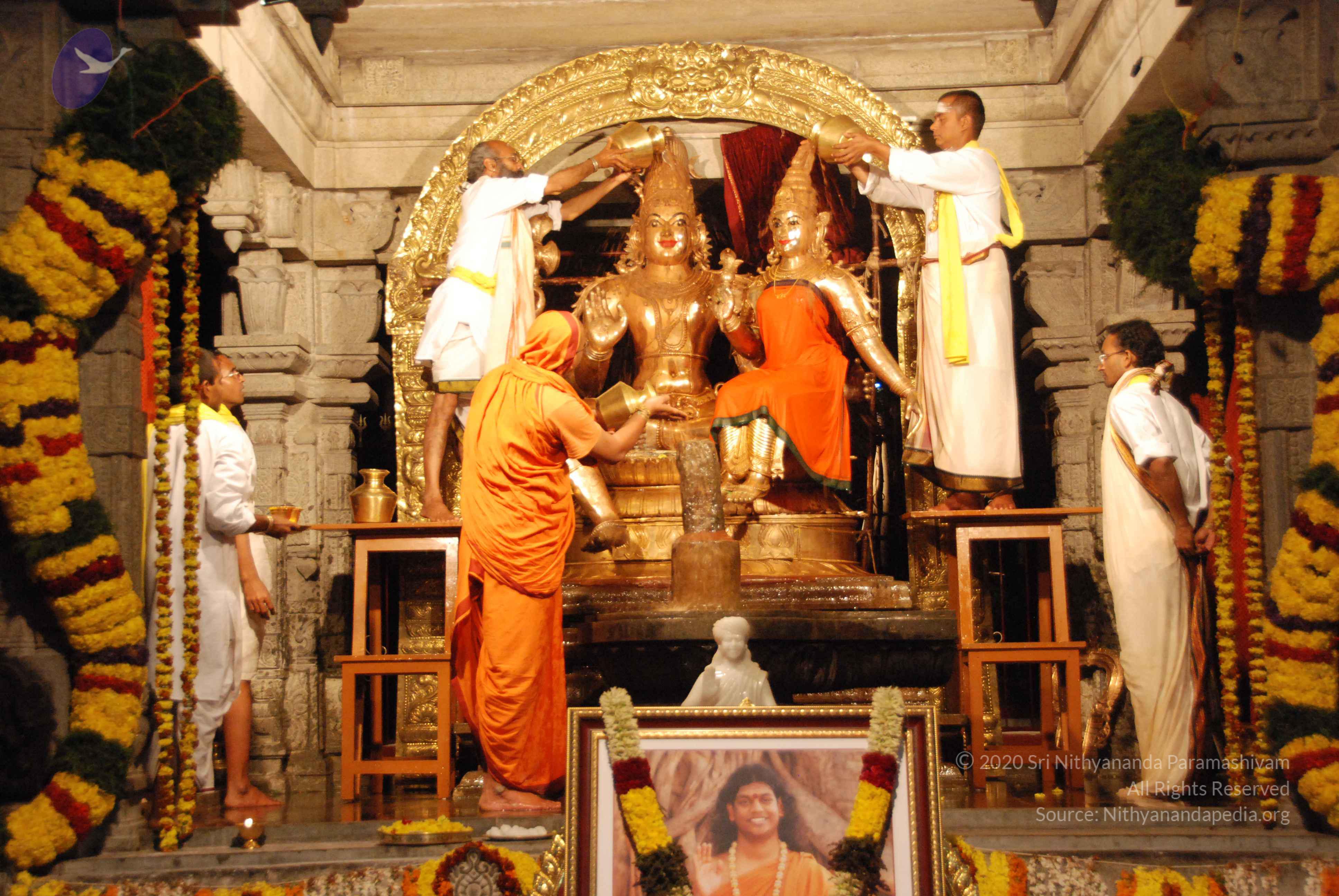 20100101_Photo_1031_DSC_1547_CMP_WM