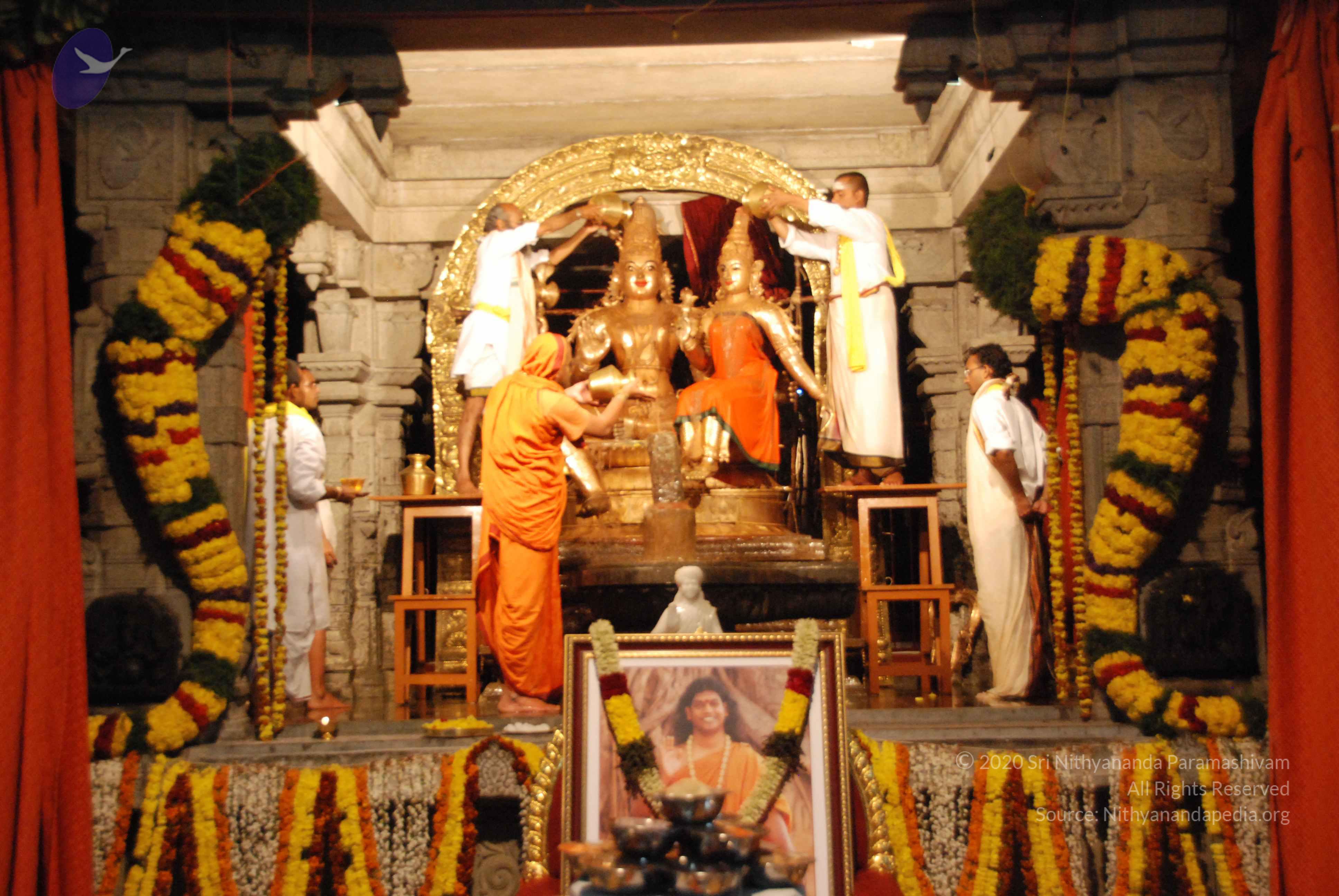 20100101_Photo_1037_DSC_1549_CMP_WM