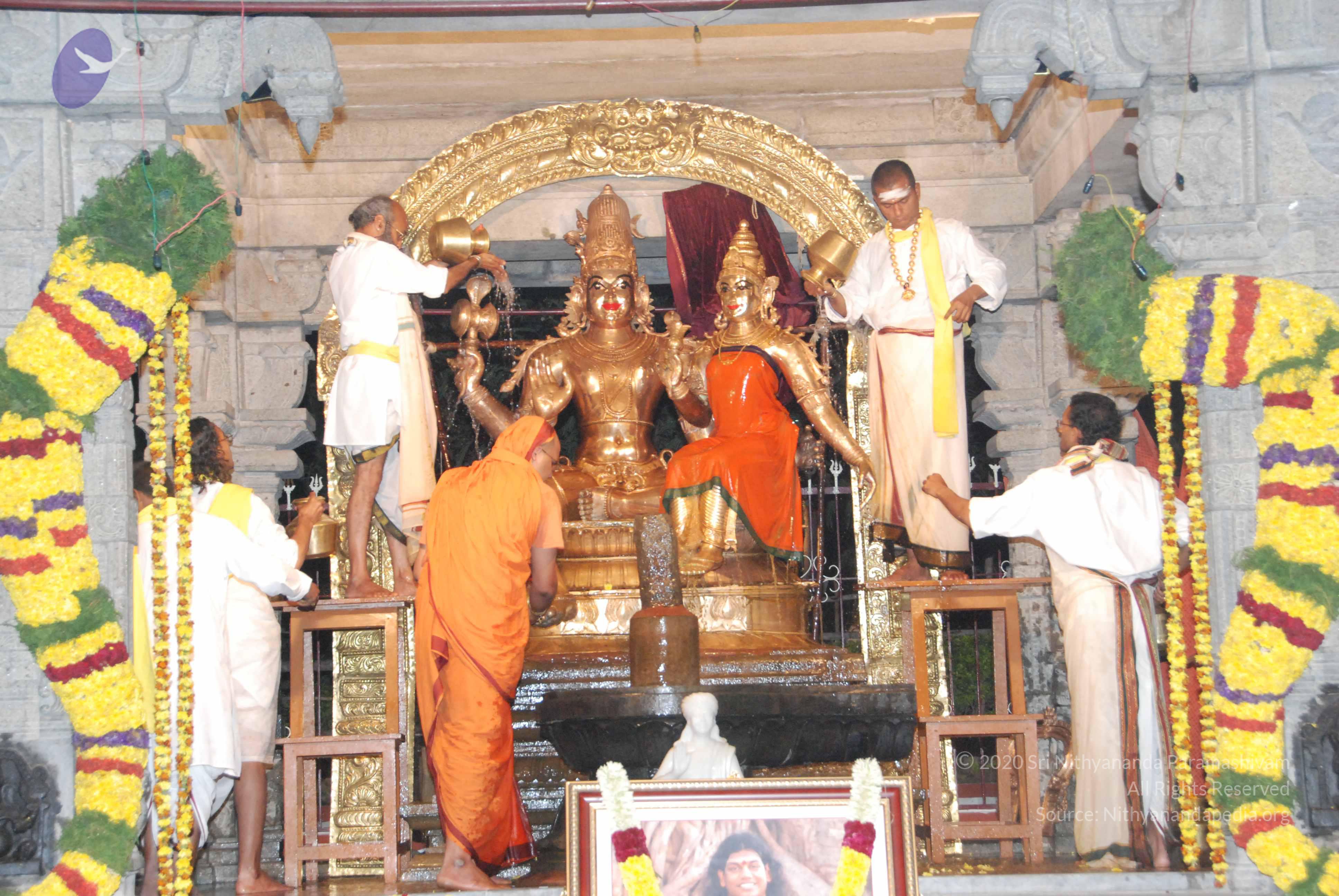 20100101_Photo_1048_DSC_1567_CMP_WM