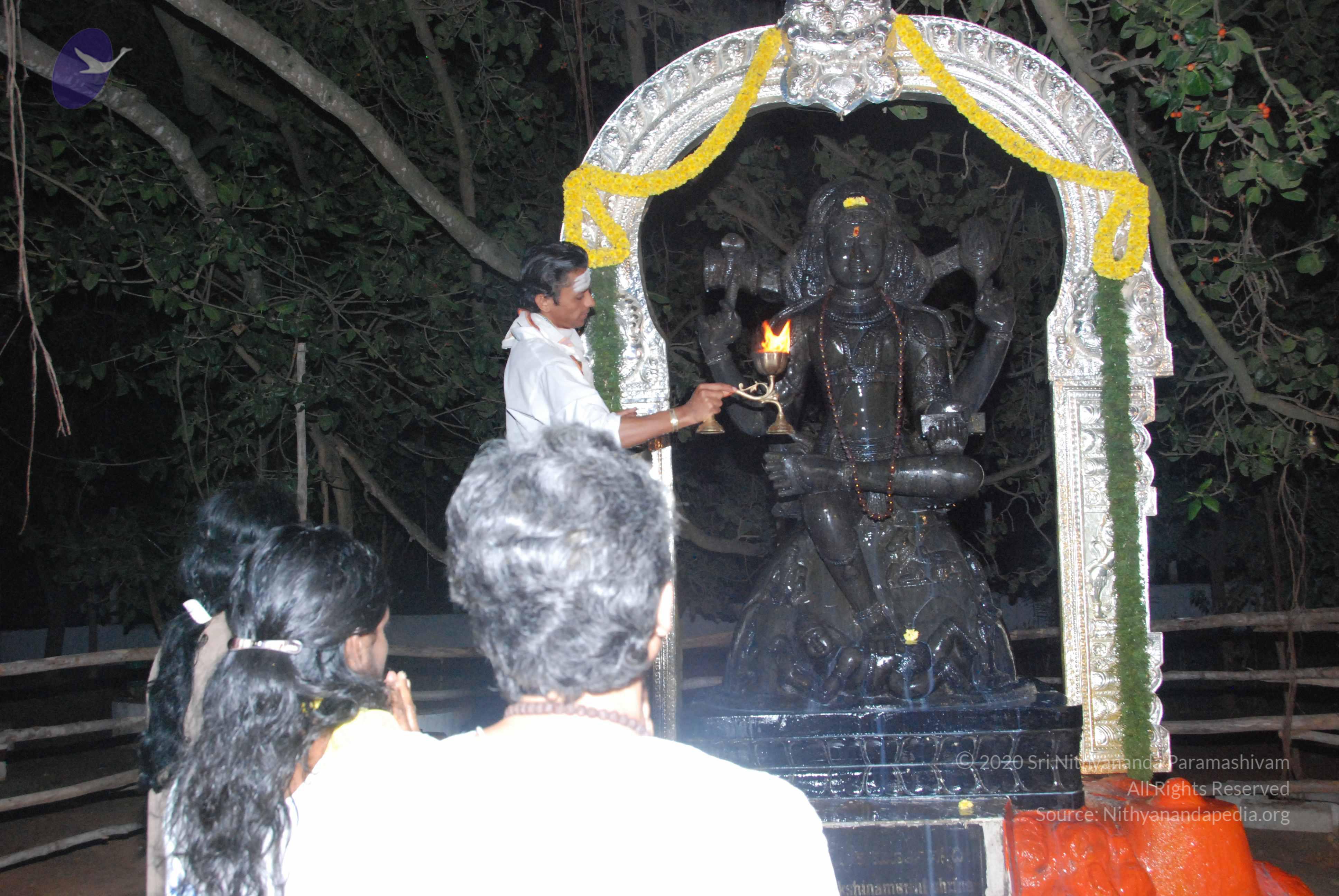 20100101_Photo_1062_DSC_1579_CMP_WM