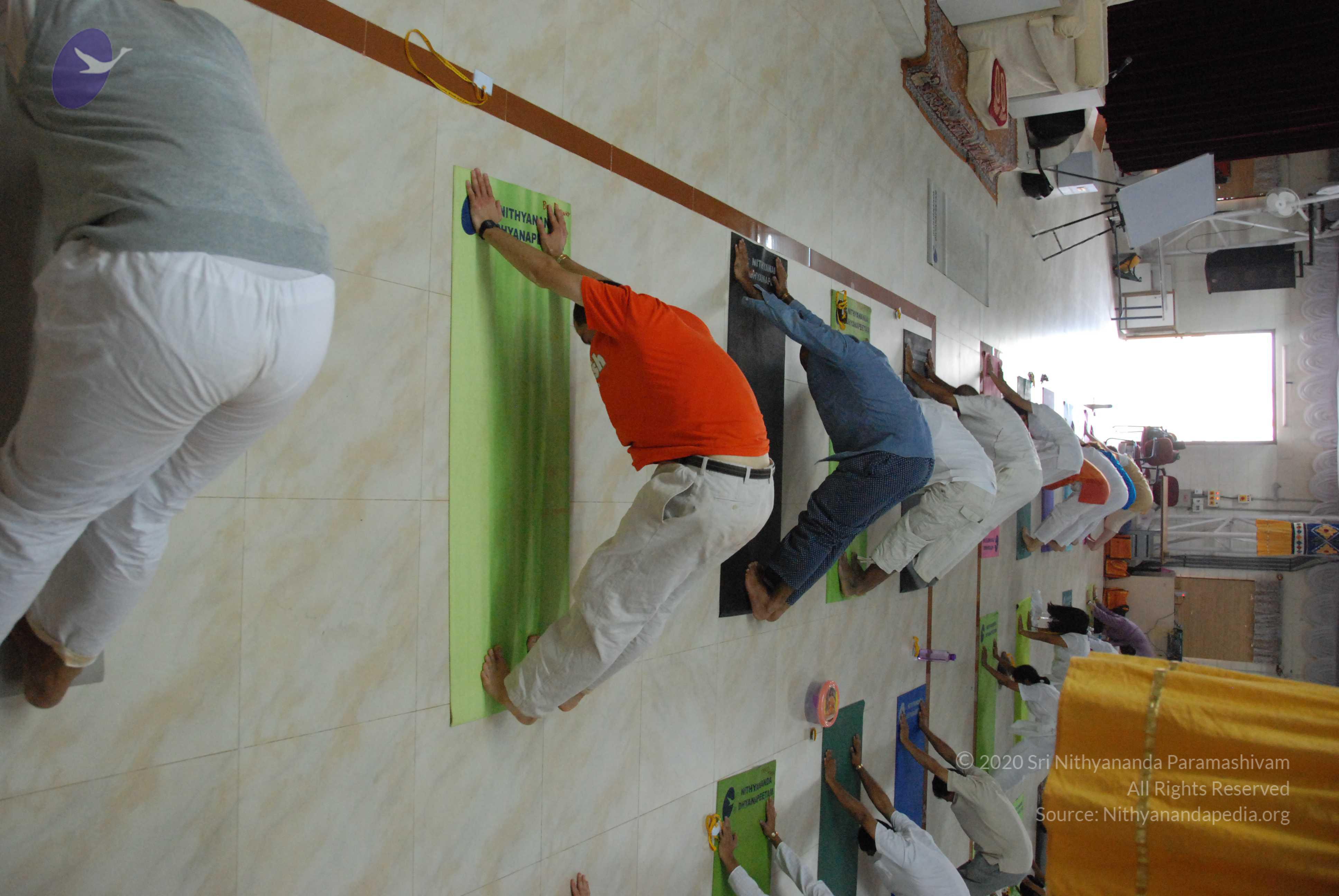 20100101_Photo_1006_DSC_3712_CMP_WM