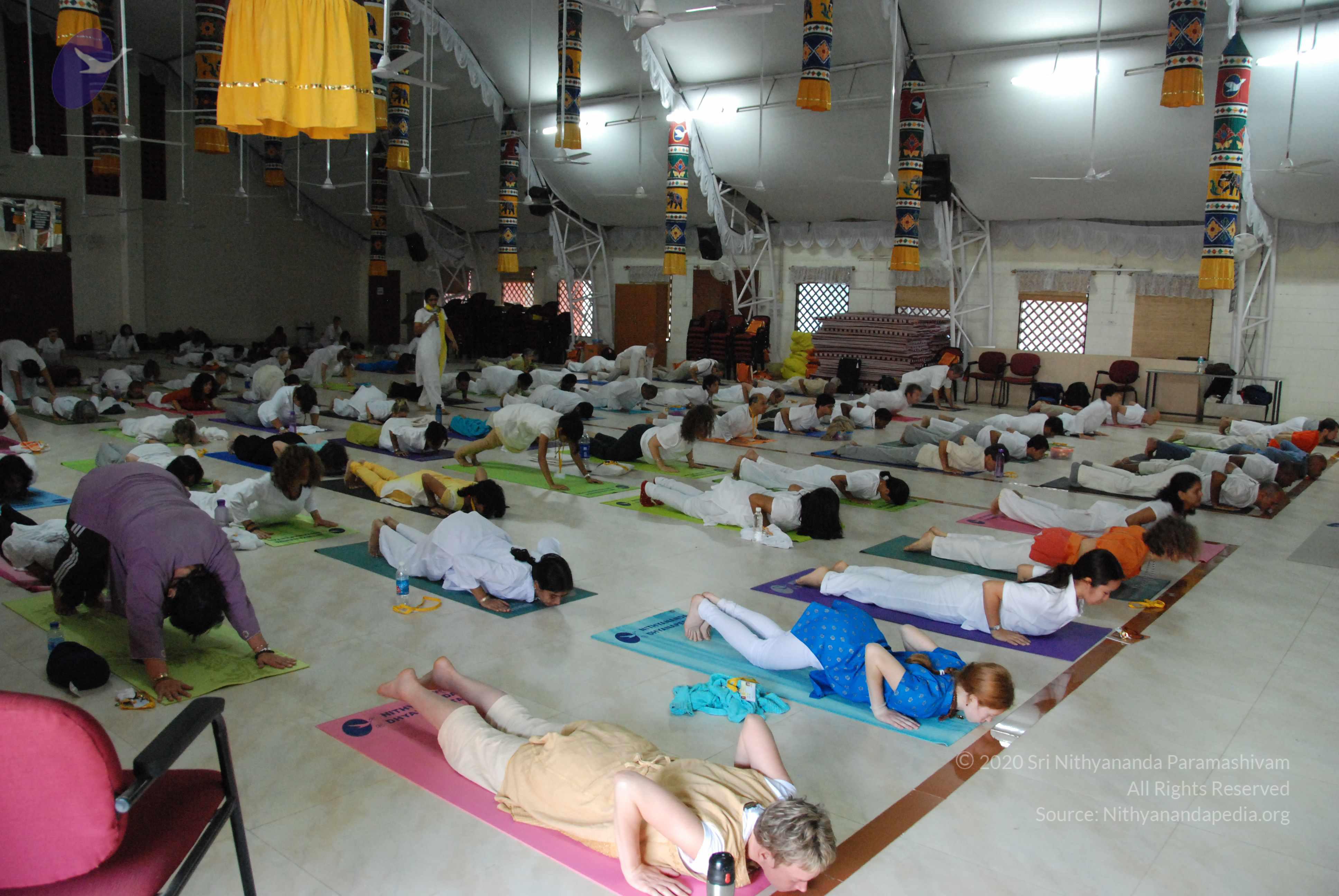 20100101_Photo_1013_DSC_3723_CMP_WM