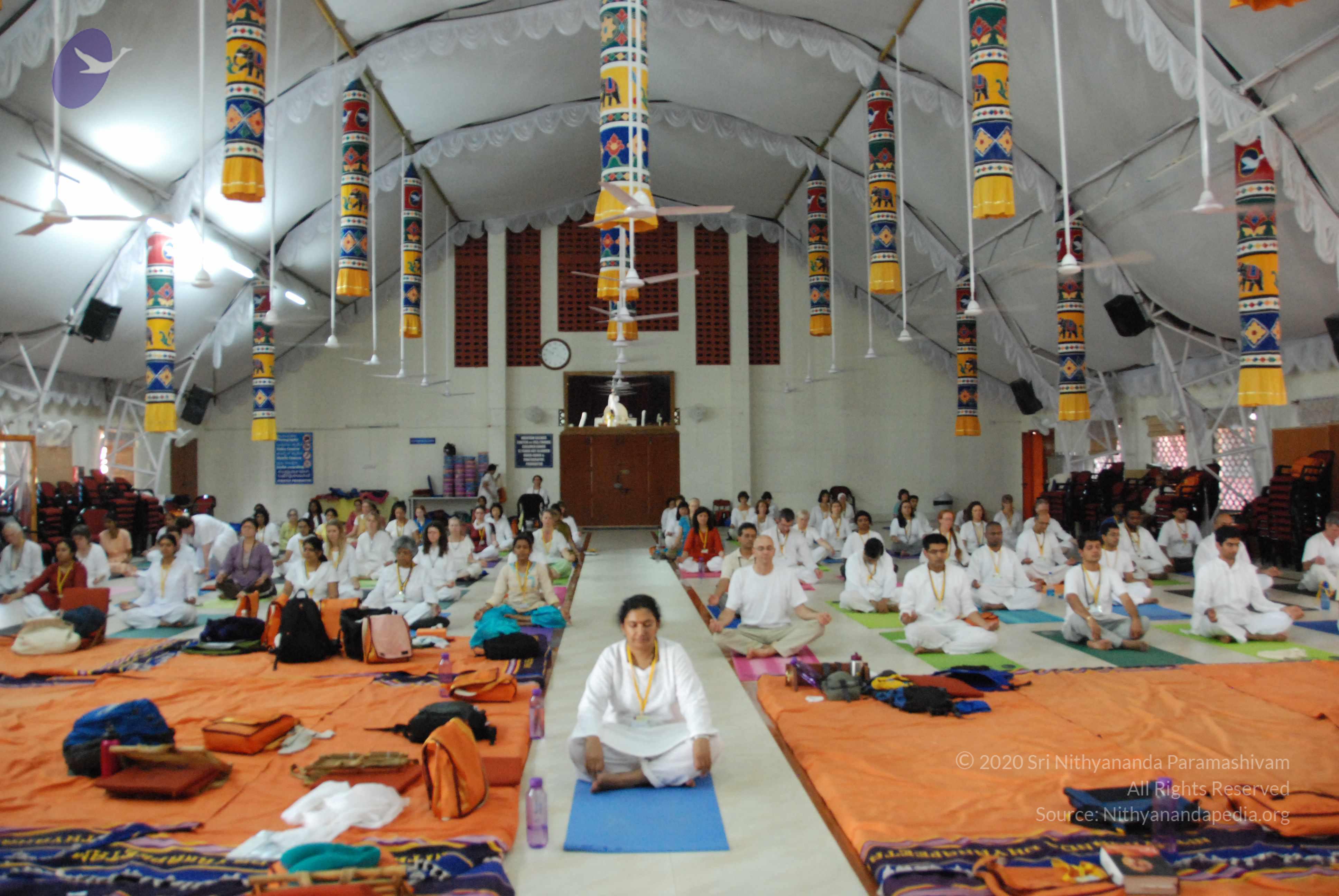 20100101_Photo_1019_DSC_3869_CMP_WM