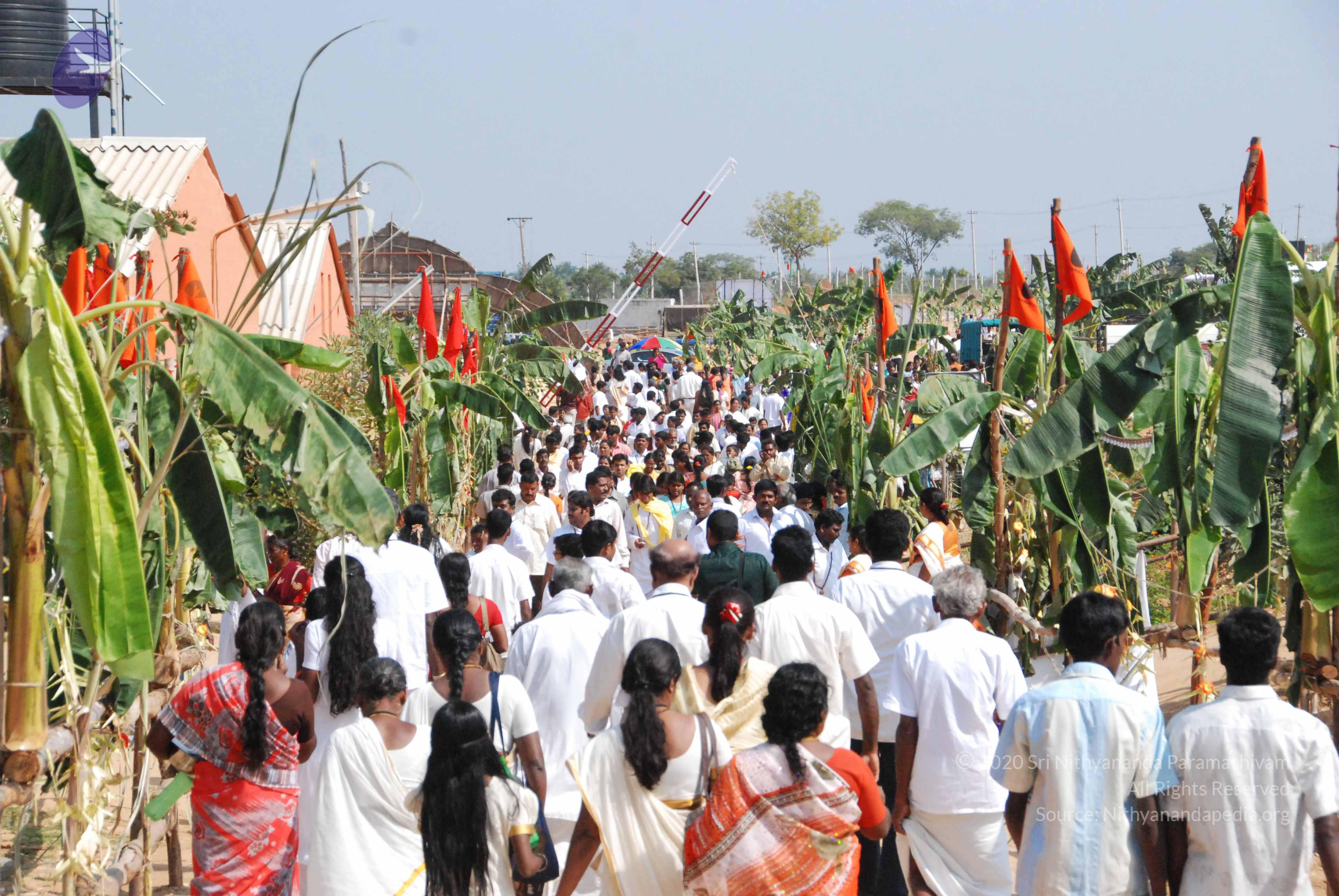 20100101_Photo_1003_DSC_2254_CMP_WM