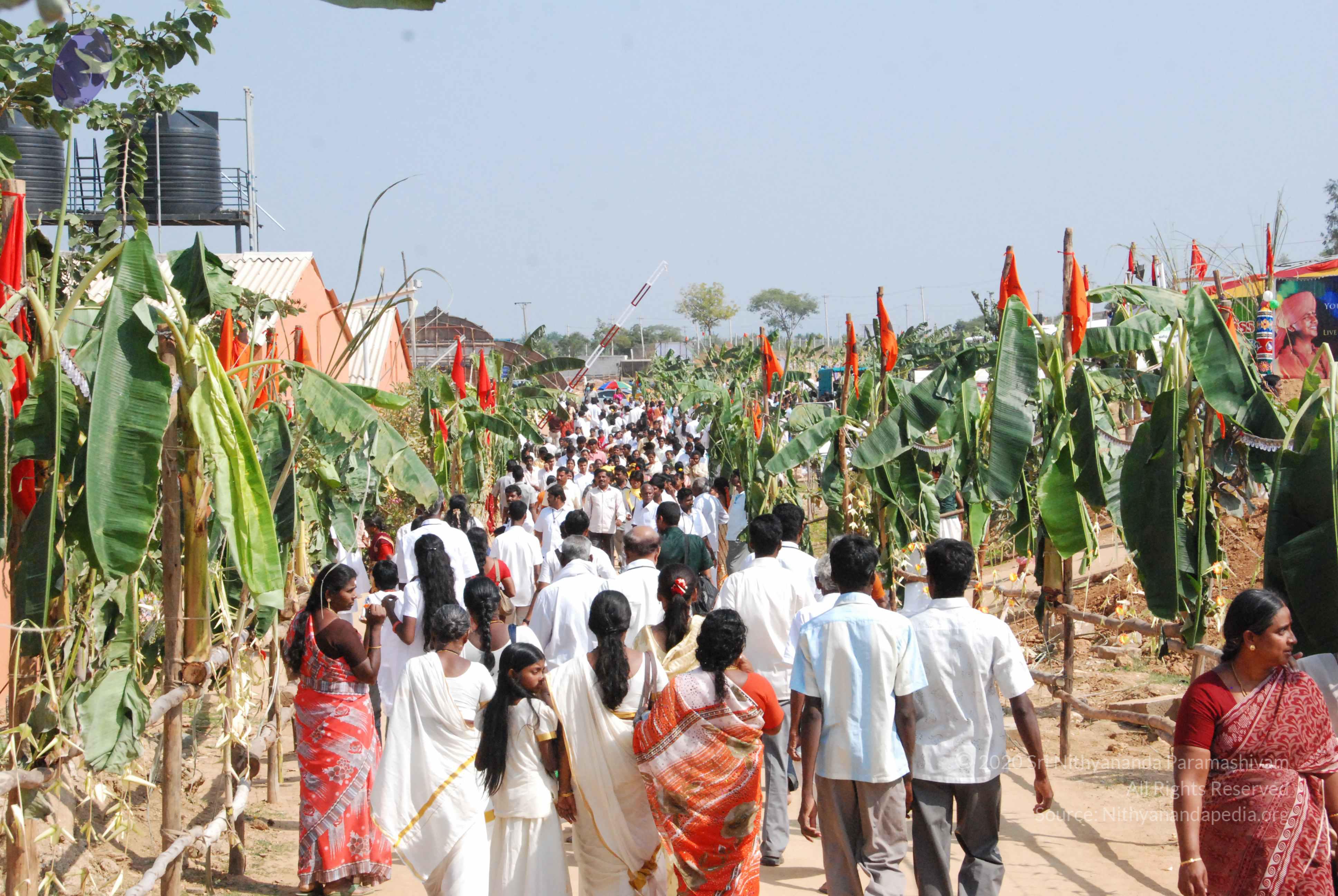 20100101_Photo_1014_DSC_2253_CMP_WM