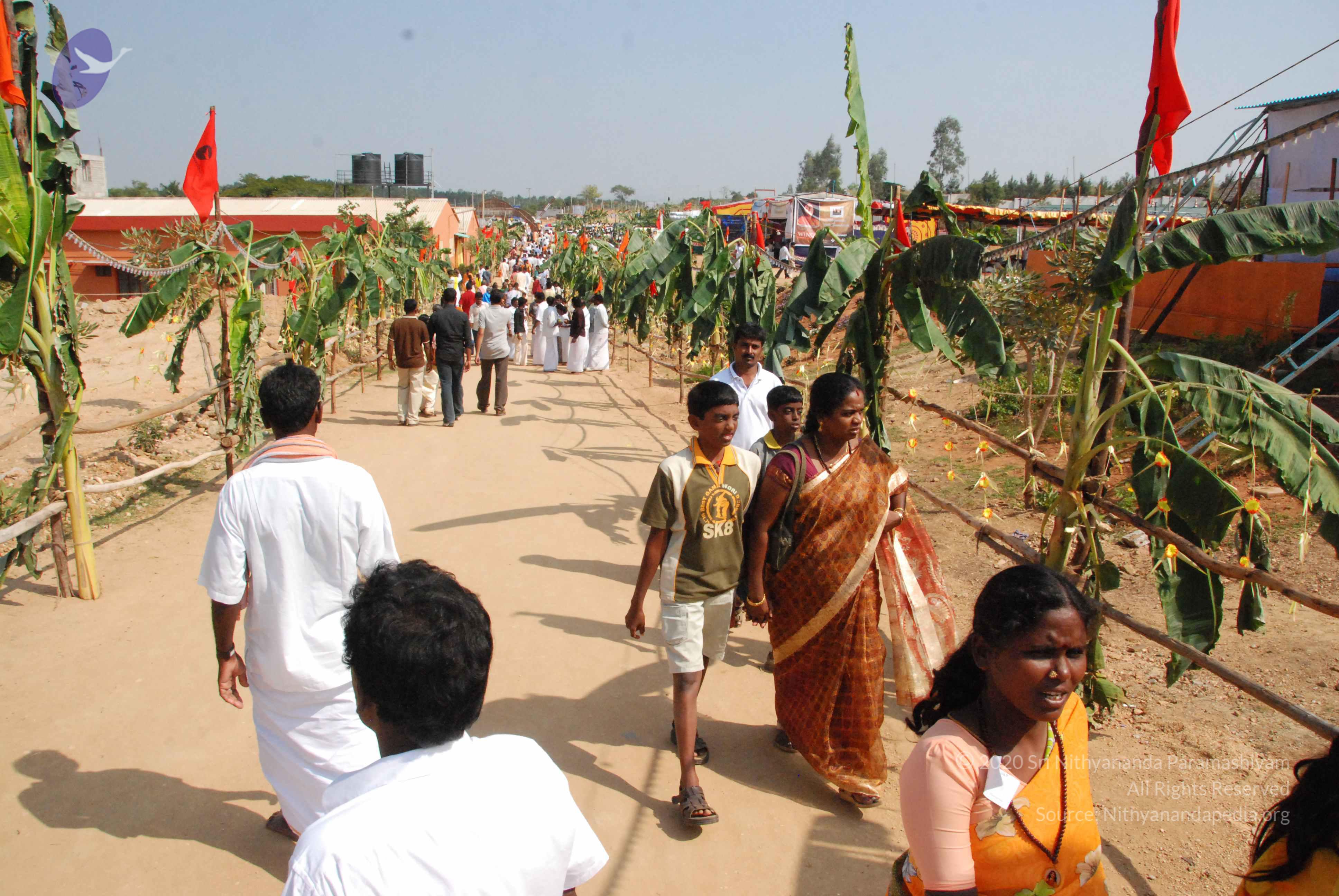 20100101_Photo_1031_DSC_2274_CMP_WM